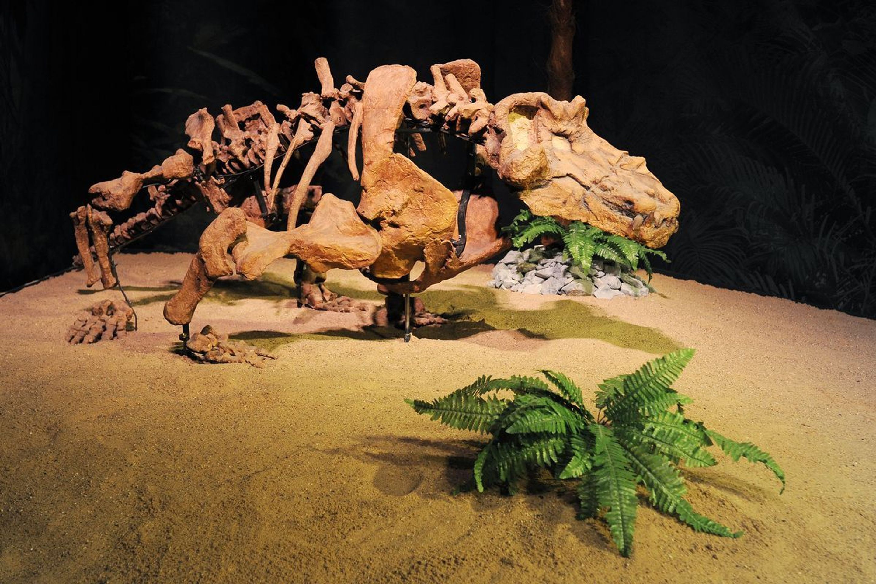 Výstava Dinosaurium - 5 - GALERIE: Výstava Dinosaurium (19/23)