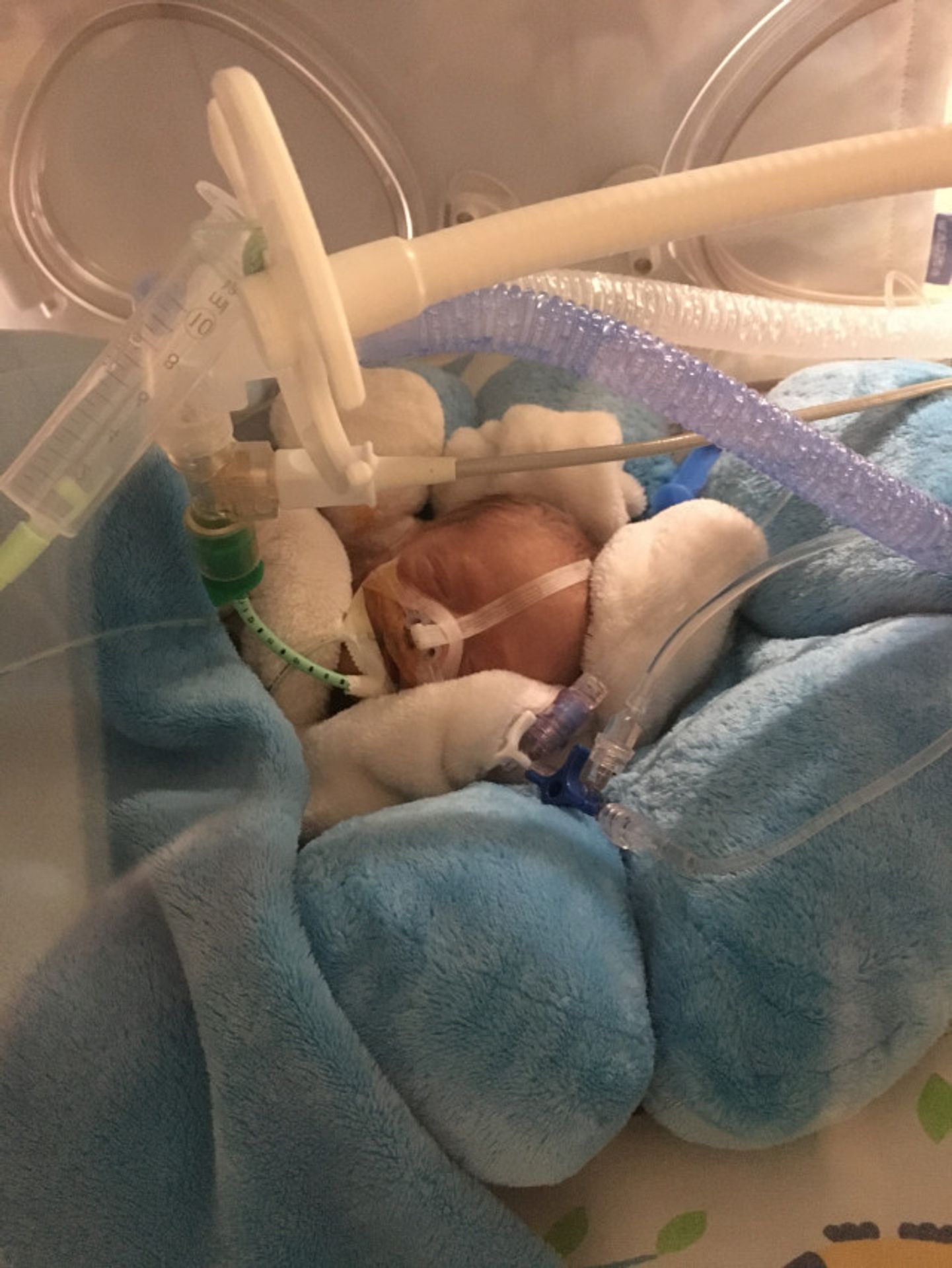 Maxík (12) přišel o tátu a je vážně nemocný - Maxík (3) přišel o tátu a je vážně nemocný (3/15)