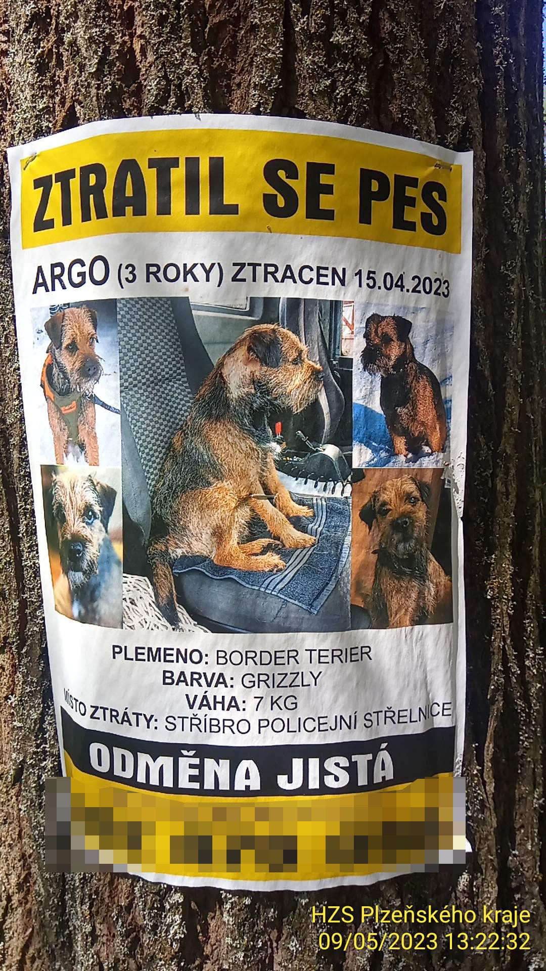 Ztracený pes (1) - Zachráněný pes (1/7)