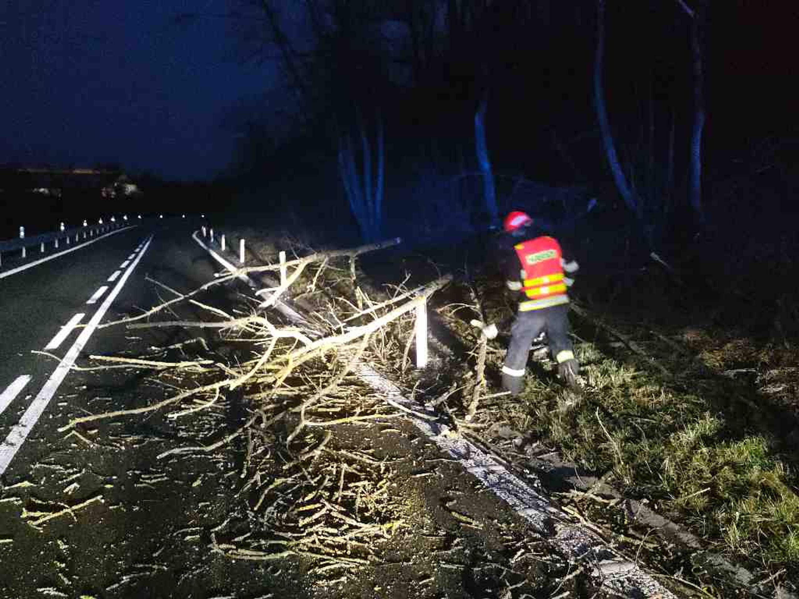 hasiči Jihomoravský kraj - Kvůli větru zasahují hasiči u desítek případů (15/15)