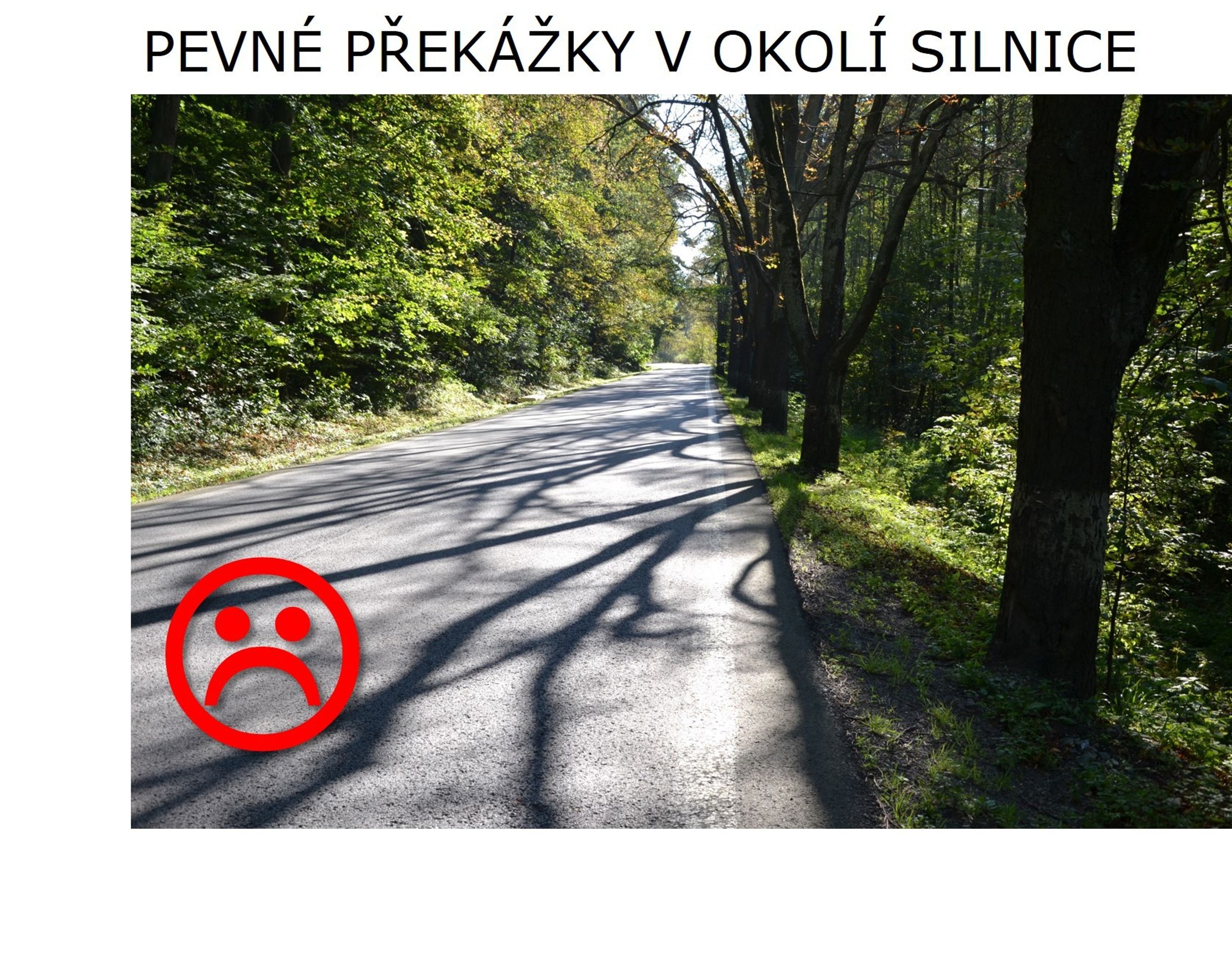 Jak by měly vypadat silnice - 8 - GALERIE: Jak by (ne)měly vypadat silnice (8/17)