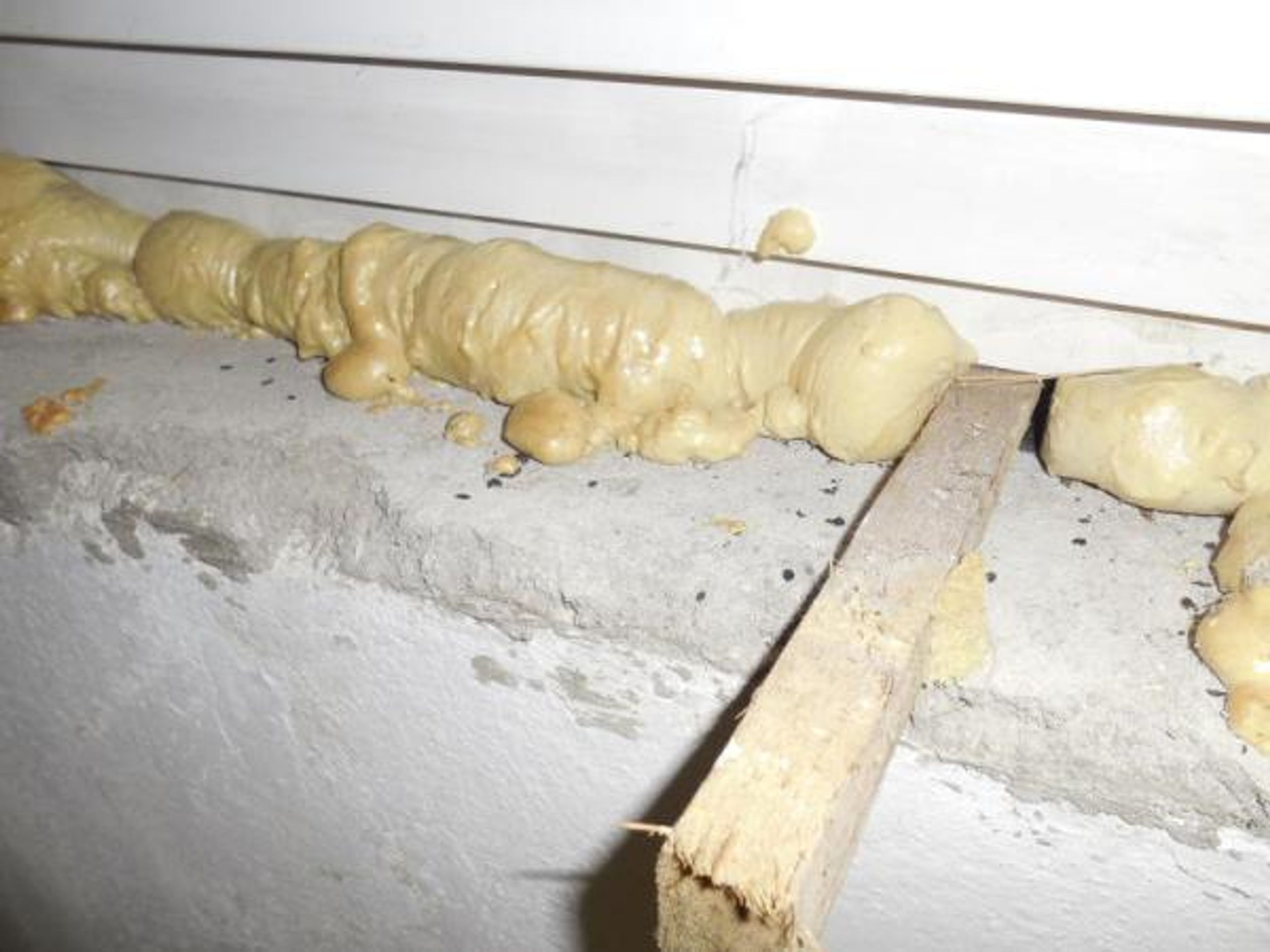 SZPI uzavřela další restauraci a hernu - 1 - FOTOGALERIE: Inspekce uzavřela další nechutné provozovny (12/12)