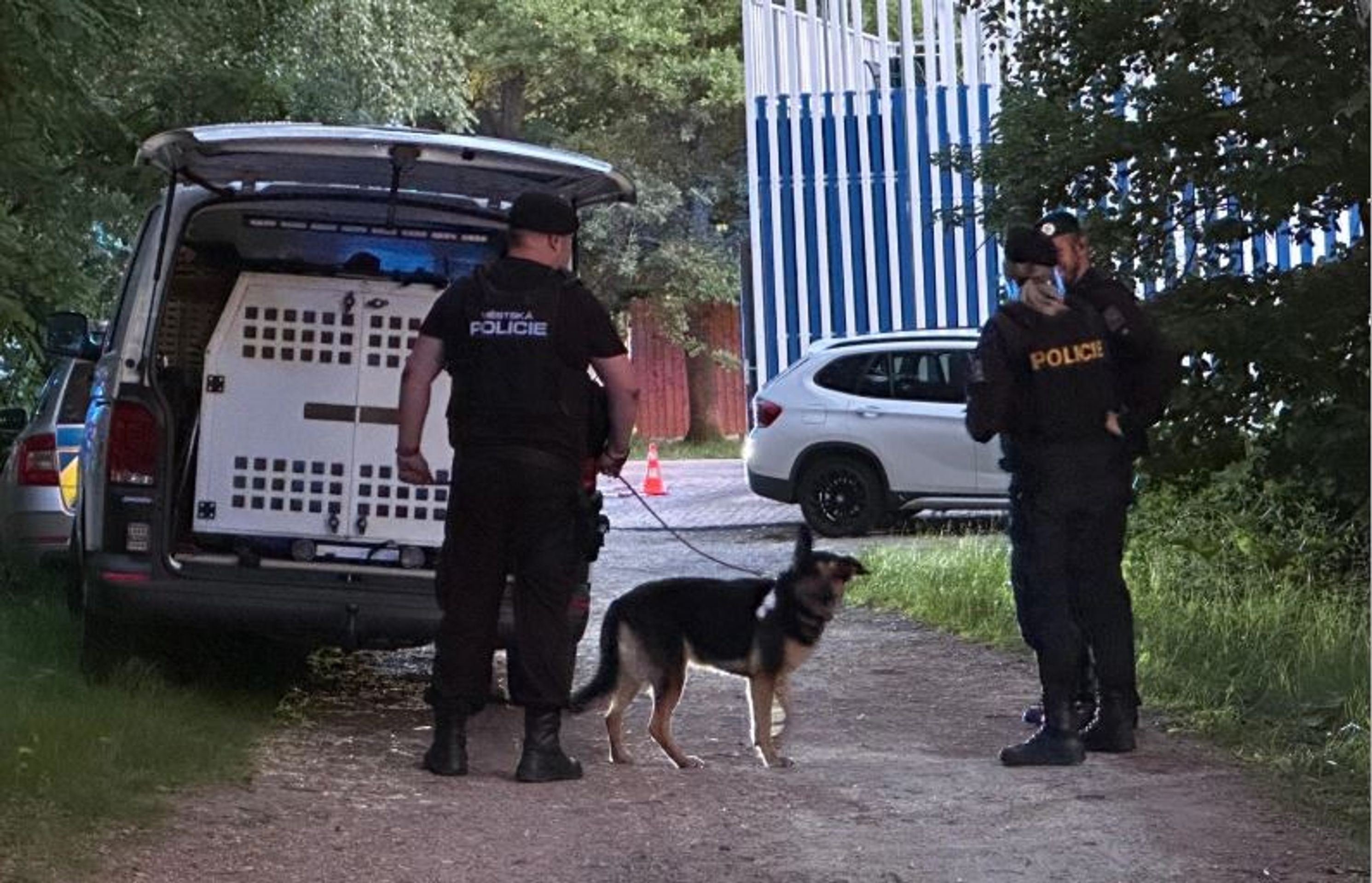 Policisté pátrají po majiteli fenky, který zmizel u Velkého Boleveckého rybníka v Plzni - Pátrání po pohřešovaném majiteli psa (1/3)