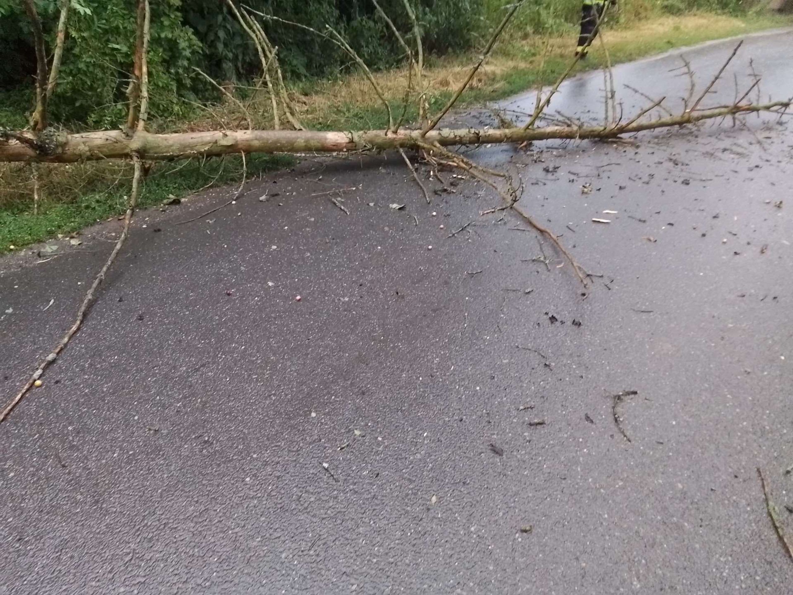 Následky pátečních bouřek - Následky pátečních bouřek (4/5)