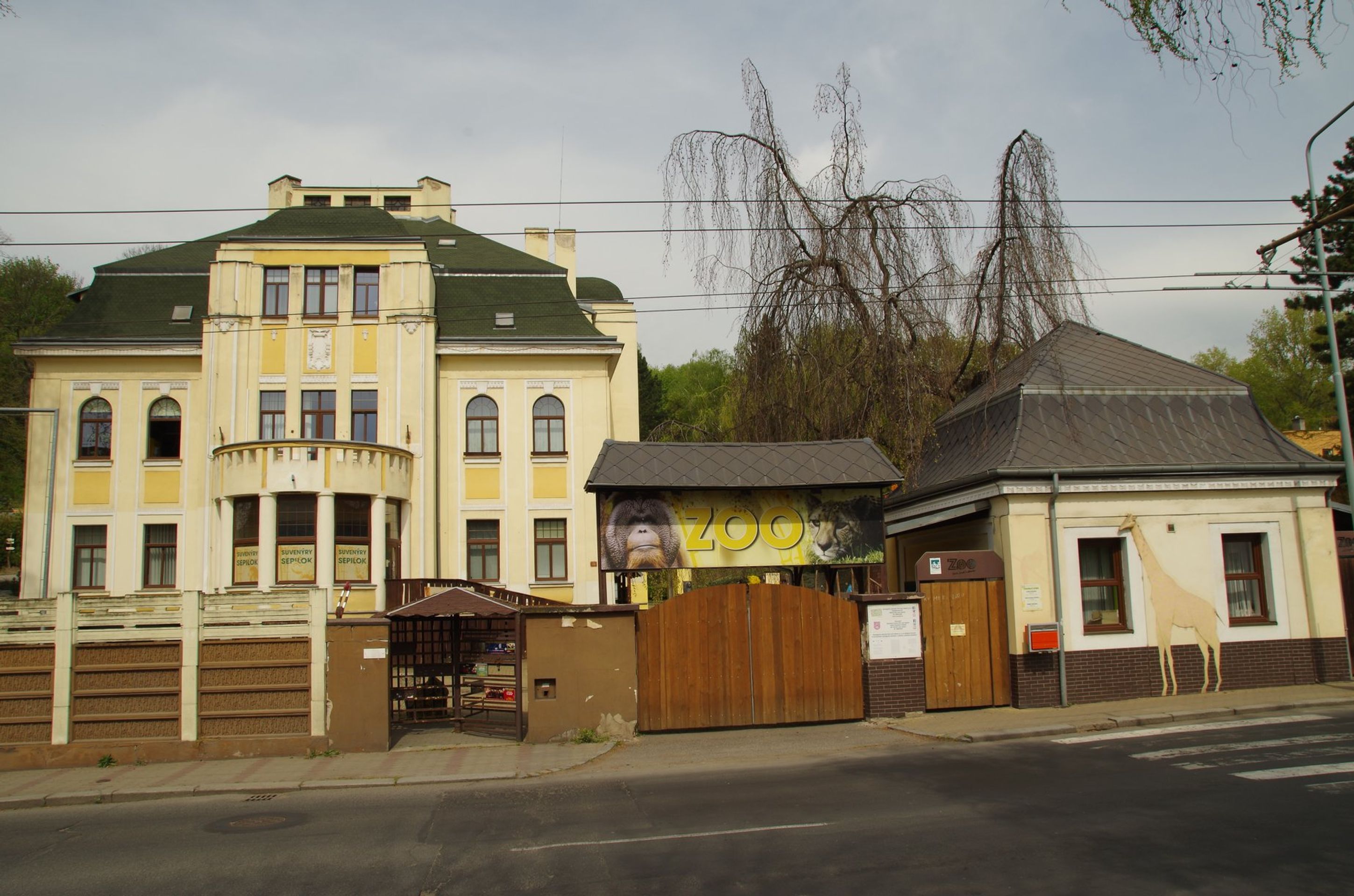 Prázdná ústecká zoo - GALERIE: Prázdné areály zoologických zahrad (10/10)