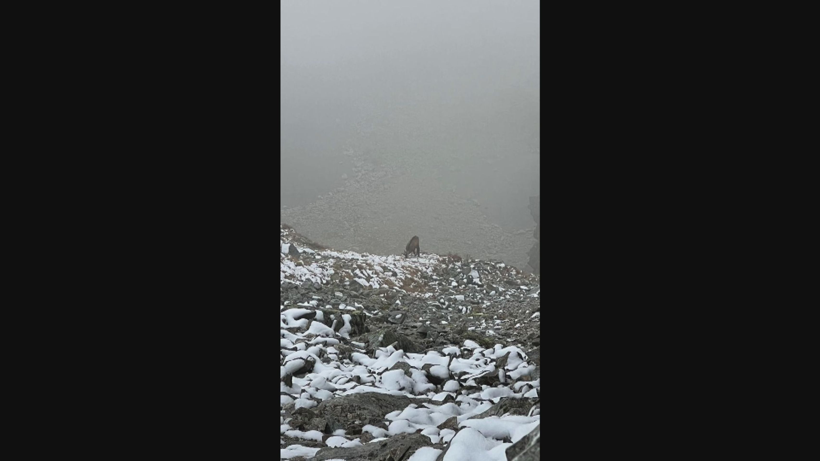 Tatry pokryl sníh - Sníh v Tatrách (7/8)