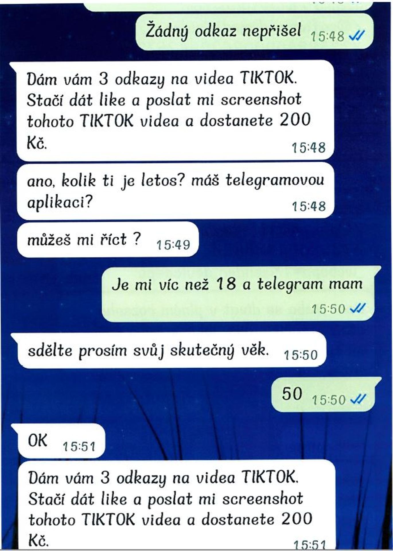 Internetový podvod (7) - Nový internetový podvod (11/14)
