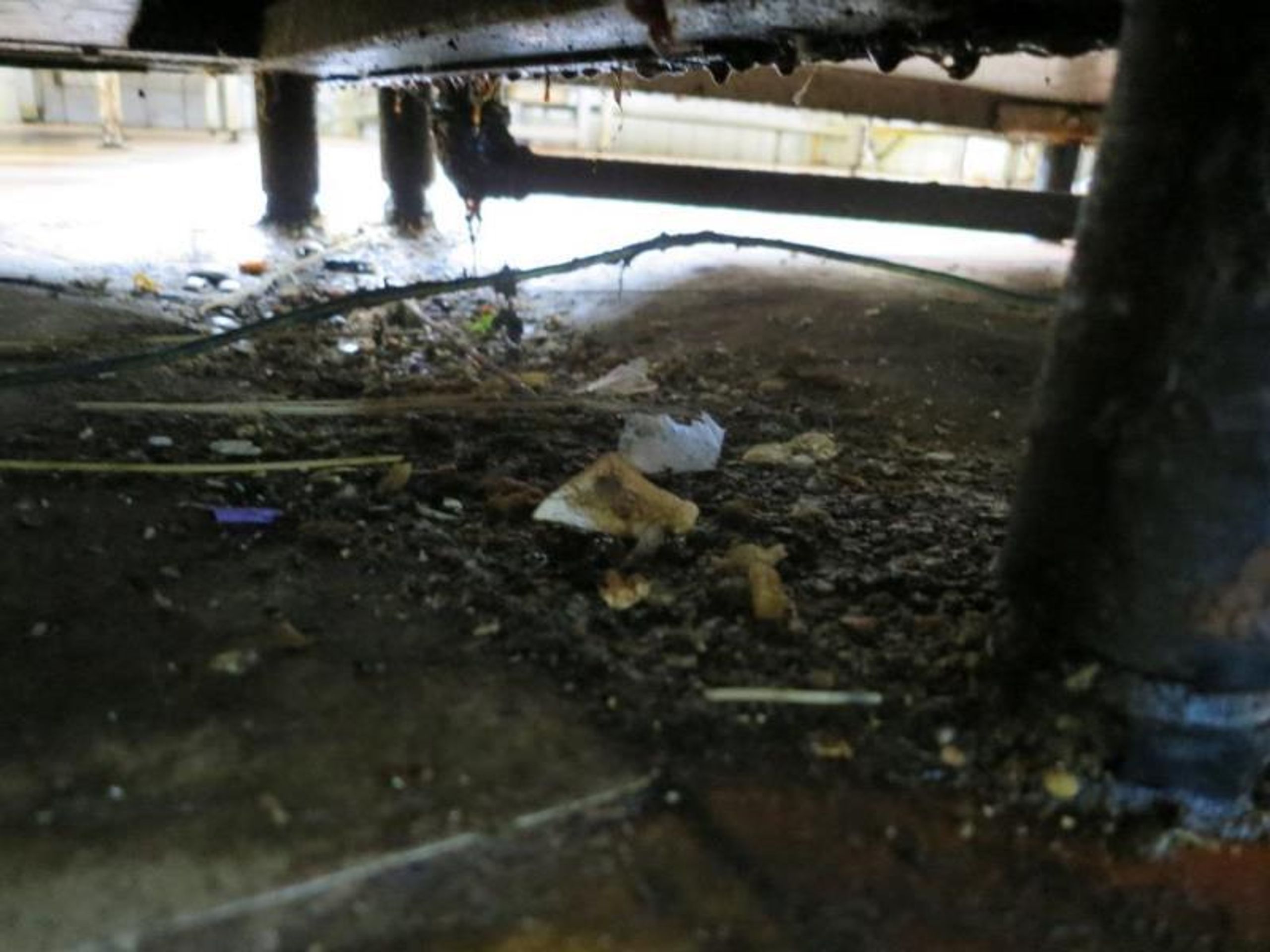 Uzavřené provozovny za závažné hygienické prohřešky - 5 - GALERIE: Uzavřené provozovny za závažné hygienické prohřešky (5/8)