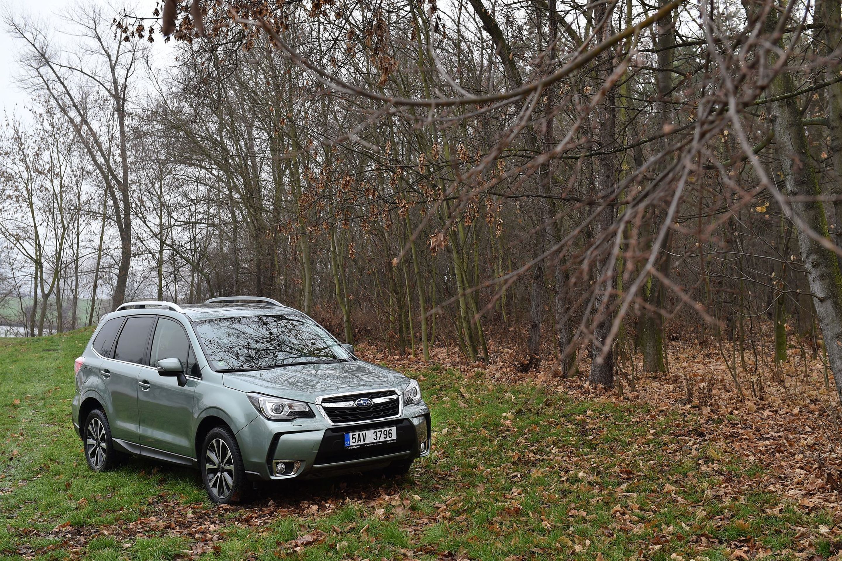 Subaru Forester - 7 - GALERIE: Subaru Forester (7/15)