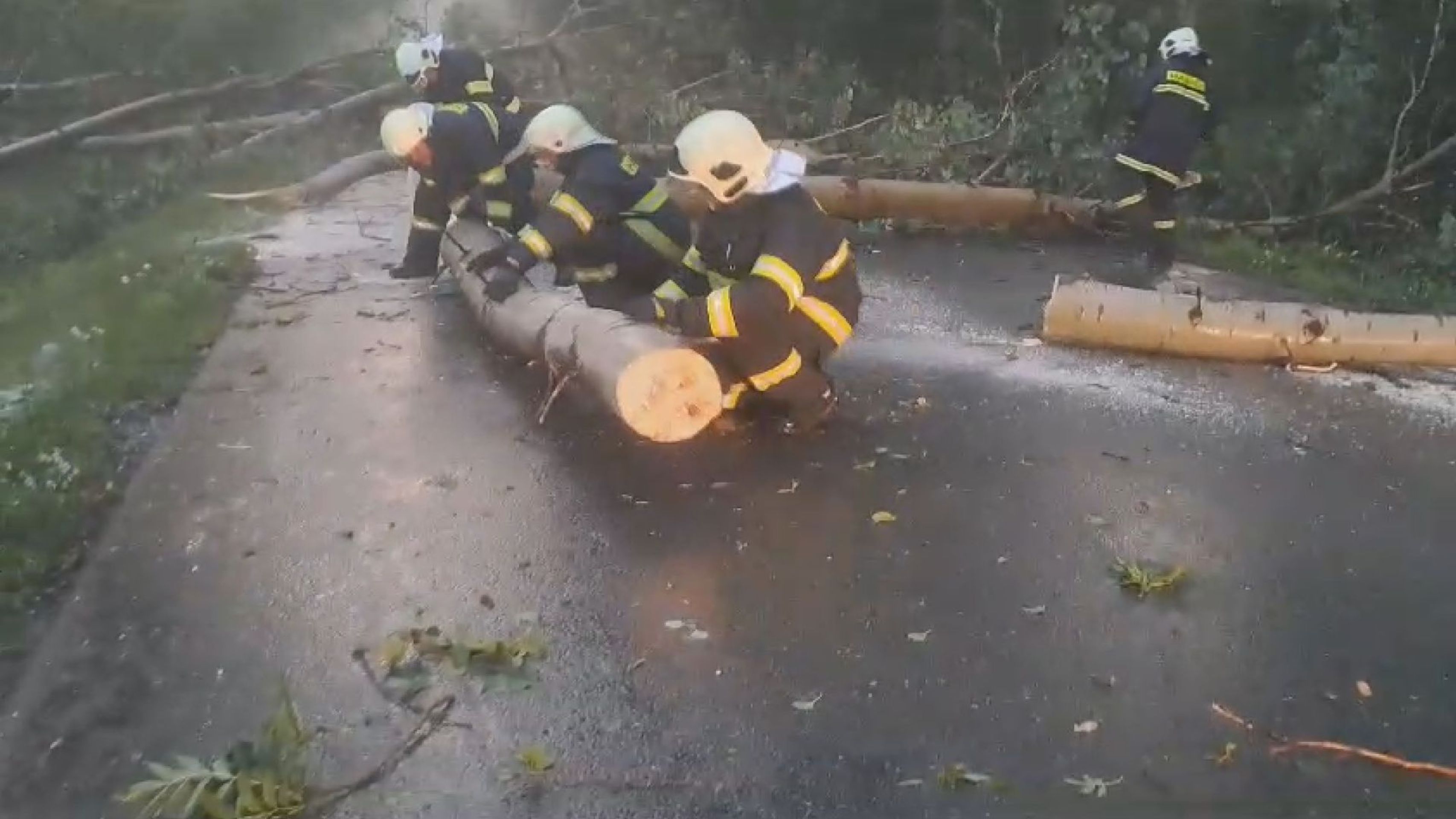 Hasiči odstraňují padlý strom - Následky bouřek (4/18)
