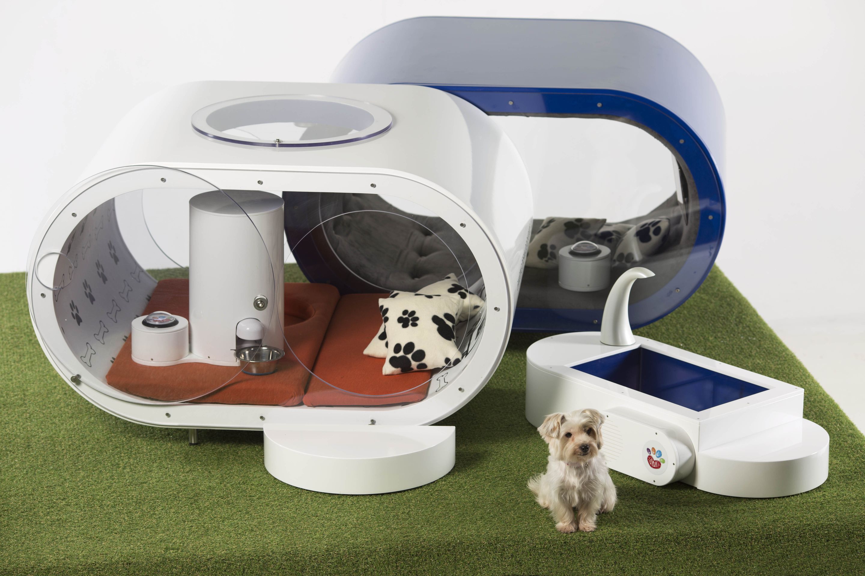 Superluxusní domek pro psy - 5 - GALERIE: Superluxusní domek pro psy (4/8)