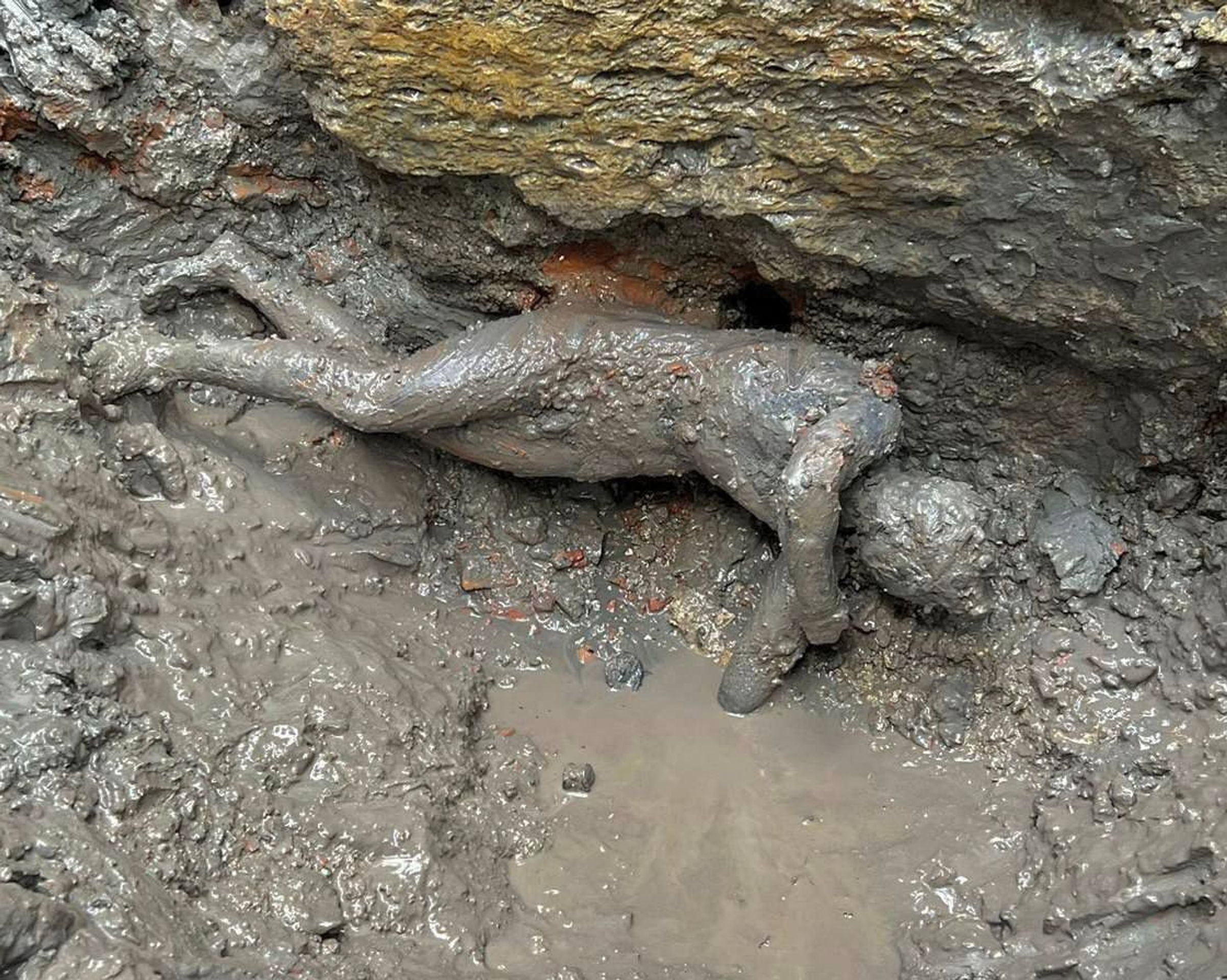 Archeologický nález - Nález soch v Itálii (4/7)