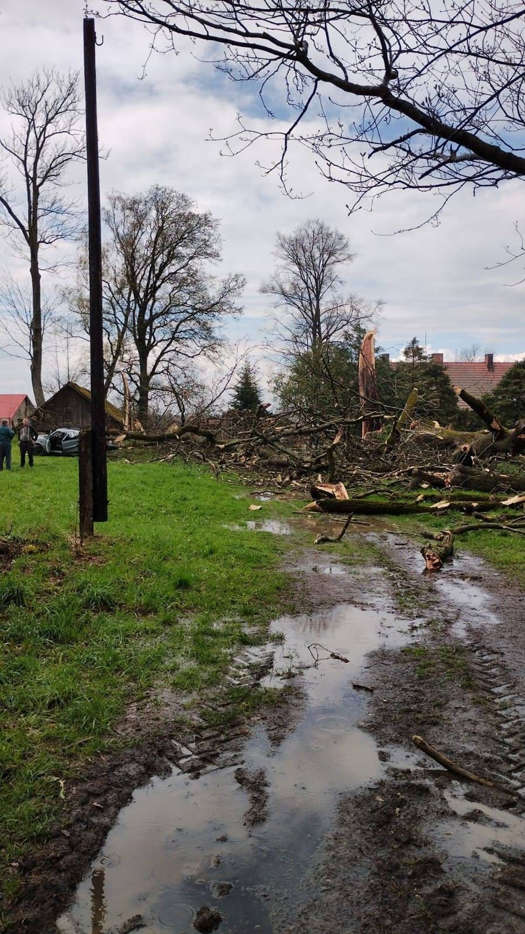 V Nejepíně na Havlíčkobrodsku nejspíš řádilo tornádo - V Nejepíně na Havlíčkobrodsku nejspíš řádilo tornádo (6/6)