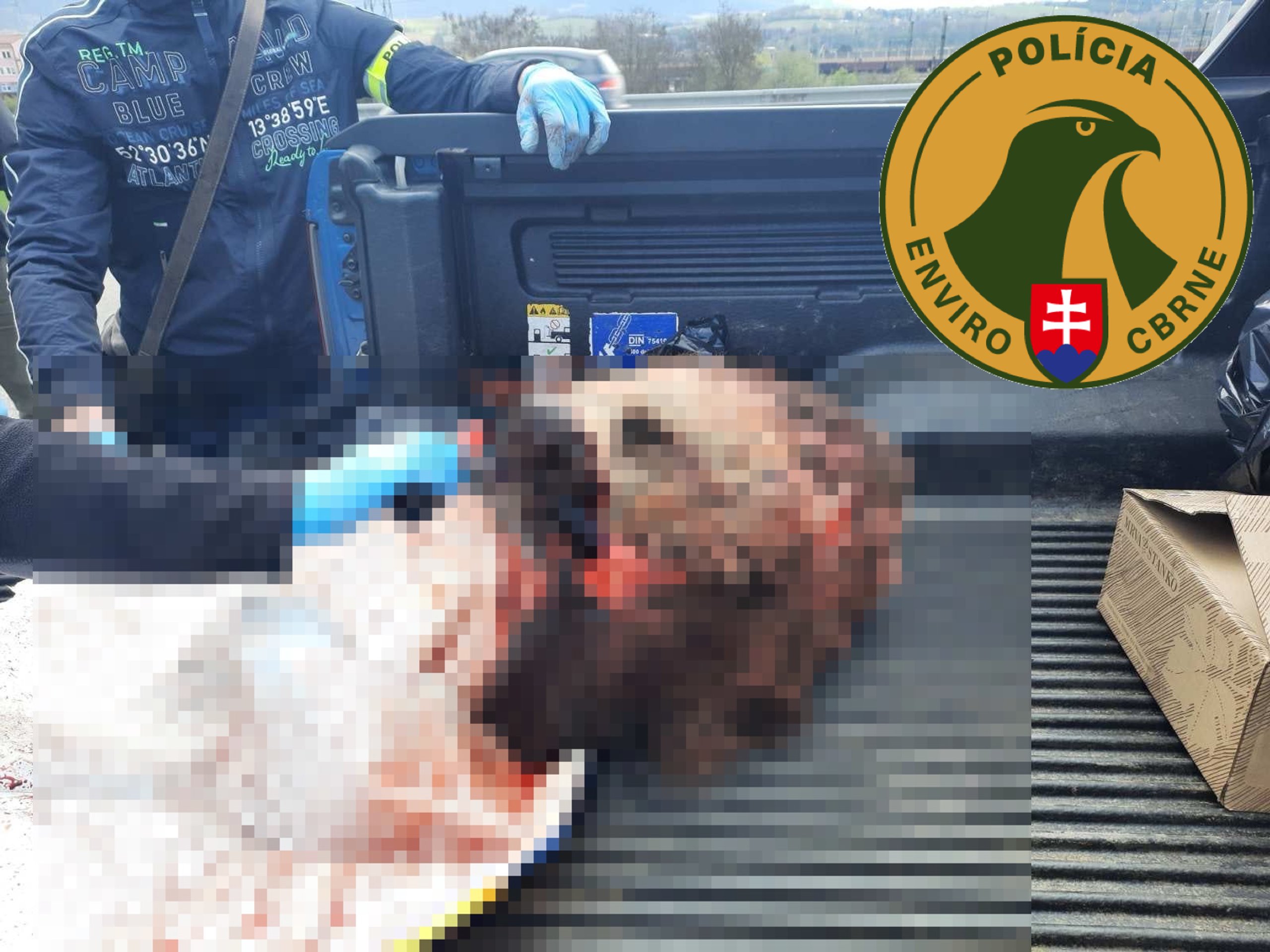 Policie zadržela Čechy, kteří nelegálně ulovili medvěda - Nelegálně ulovený medvěd (1/3)