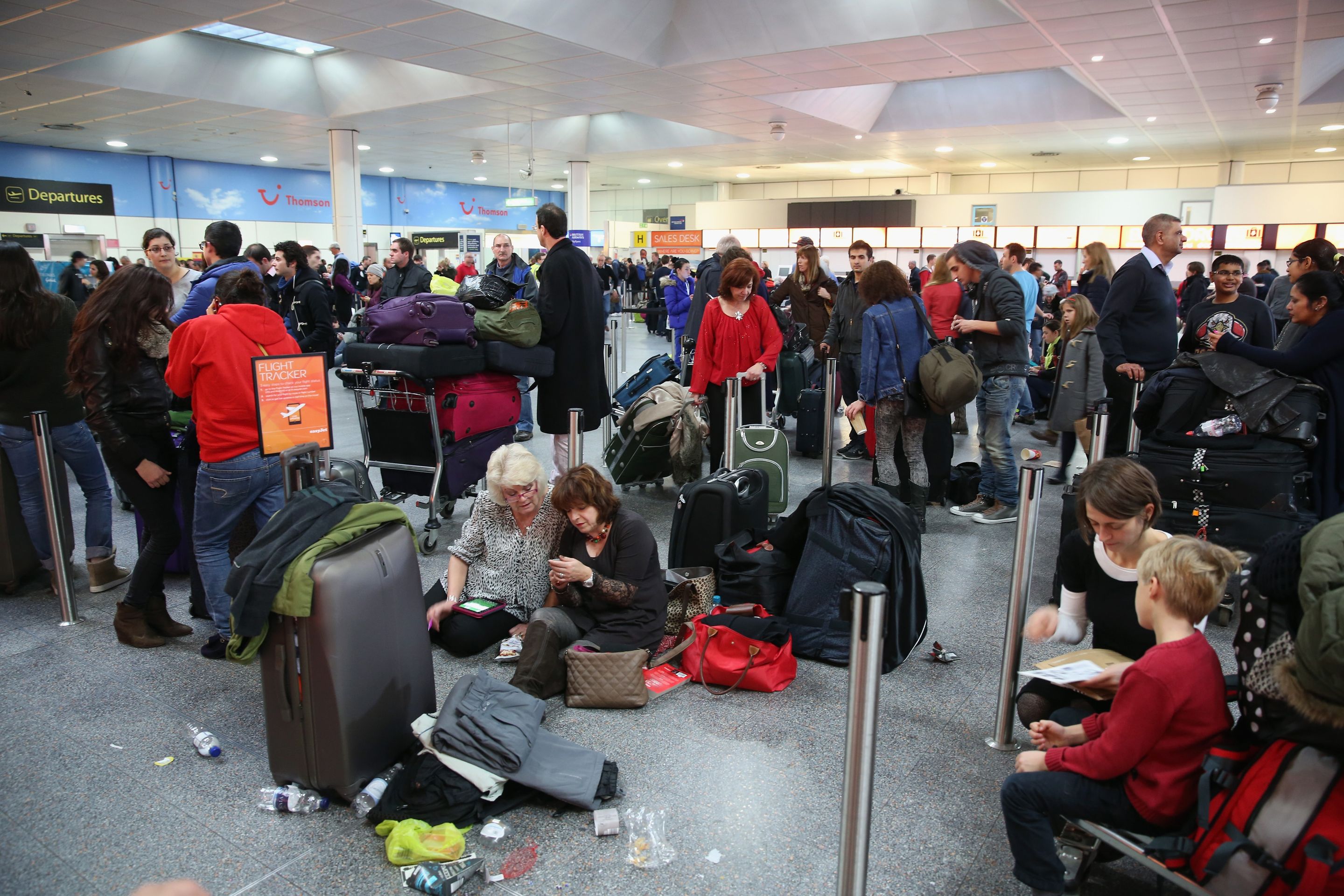 Situace na letišti Gatwick - GALERIE: Pejsci z útulku Toulavé tlapky (10/10)