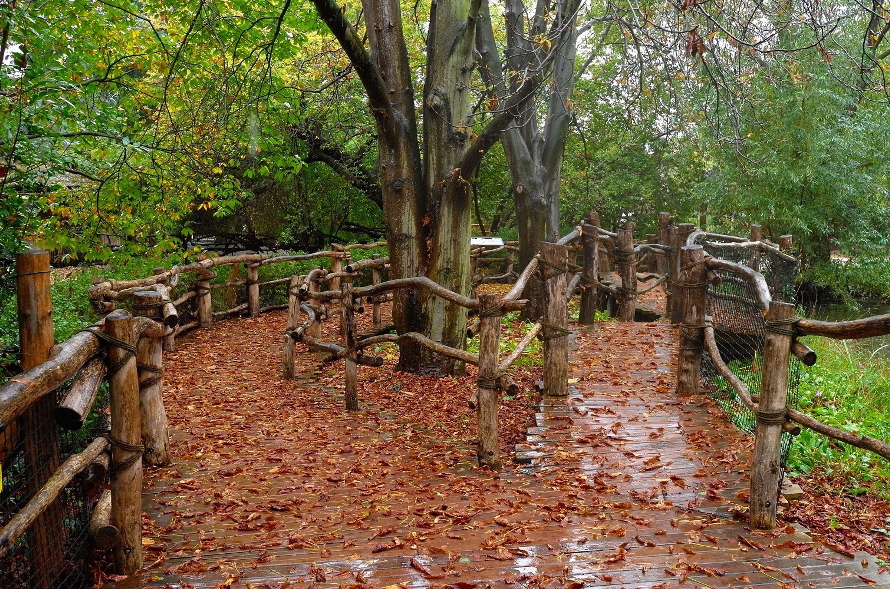 Opuštěný areál pražské zoo - 5 - GALERIE: Prázdné areály zoologických zahrad (2/10)