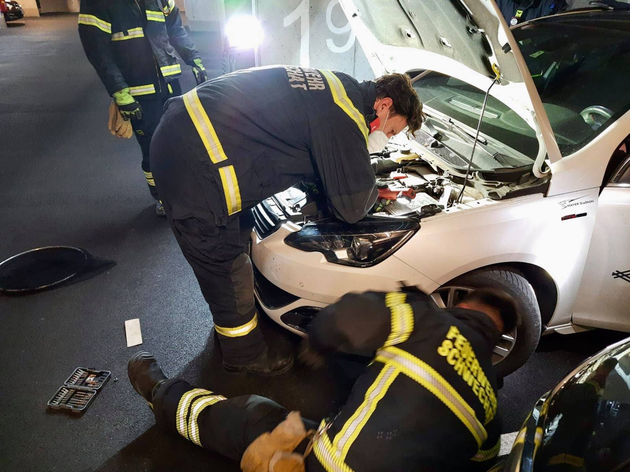 Had v autě - 20 - Fotogalerie: Hasiči rozebrali rodině auto, kvůli užovce (2/7)