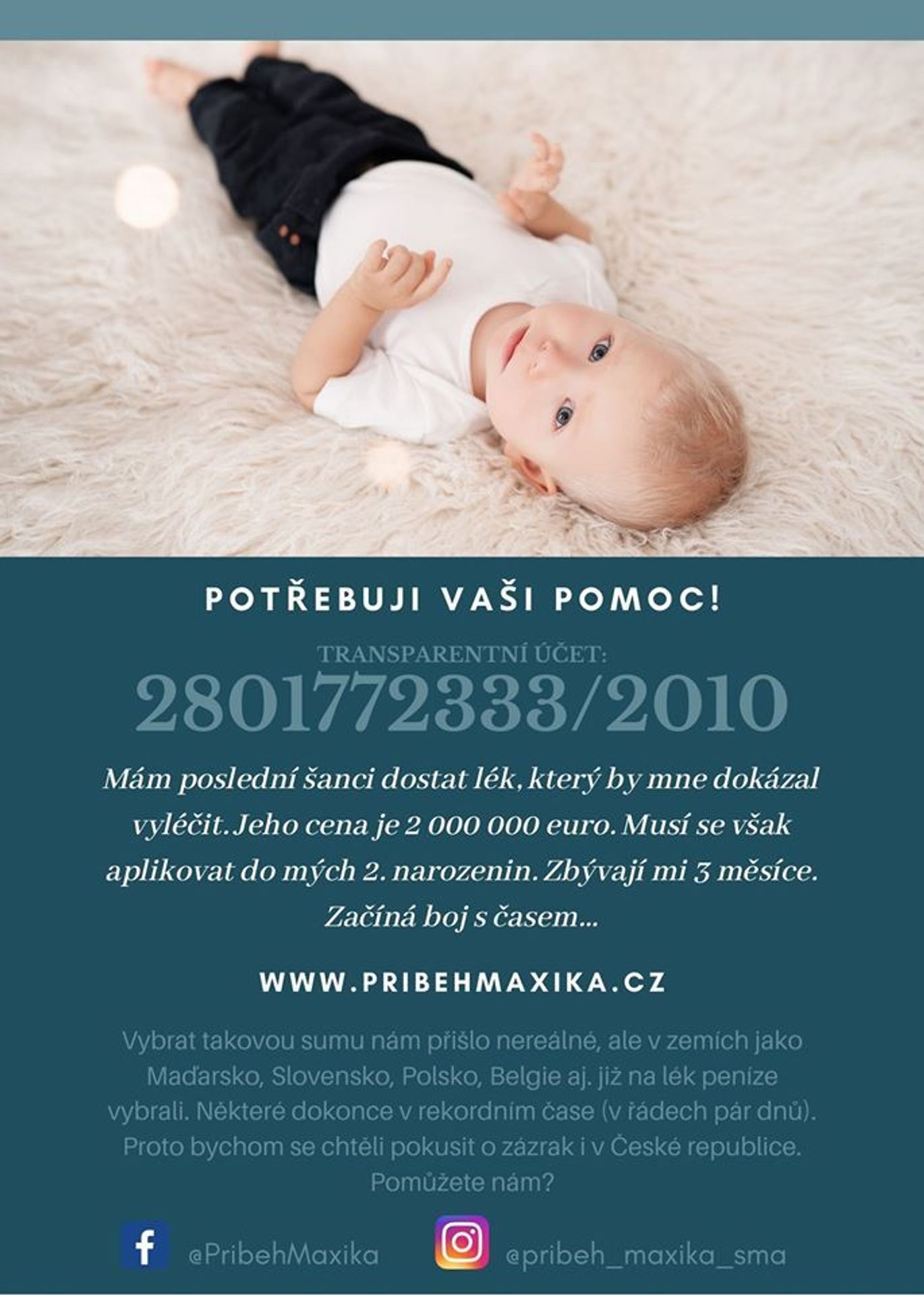 Pomoc pro Maxíka - 6 - GALERIE: Pomoc pro Maxíka (6/8)