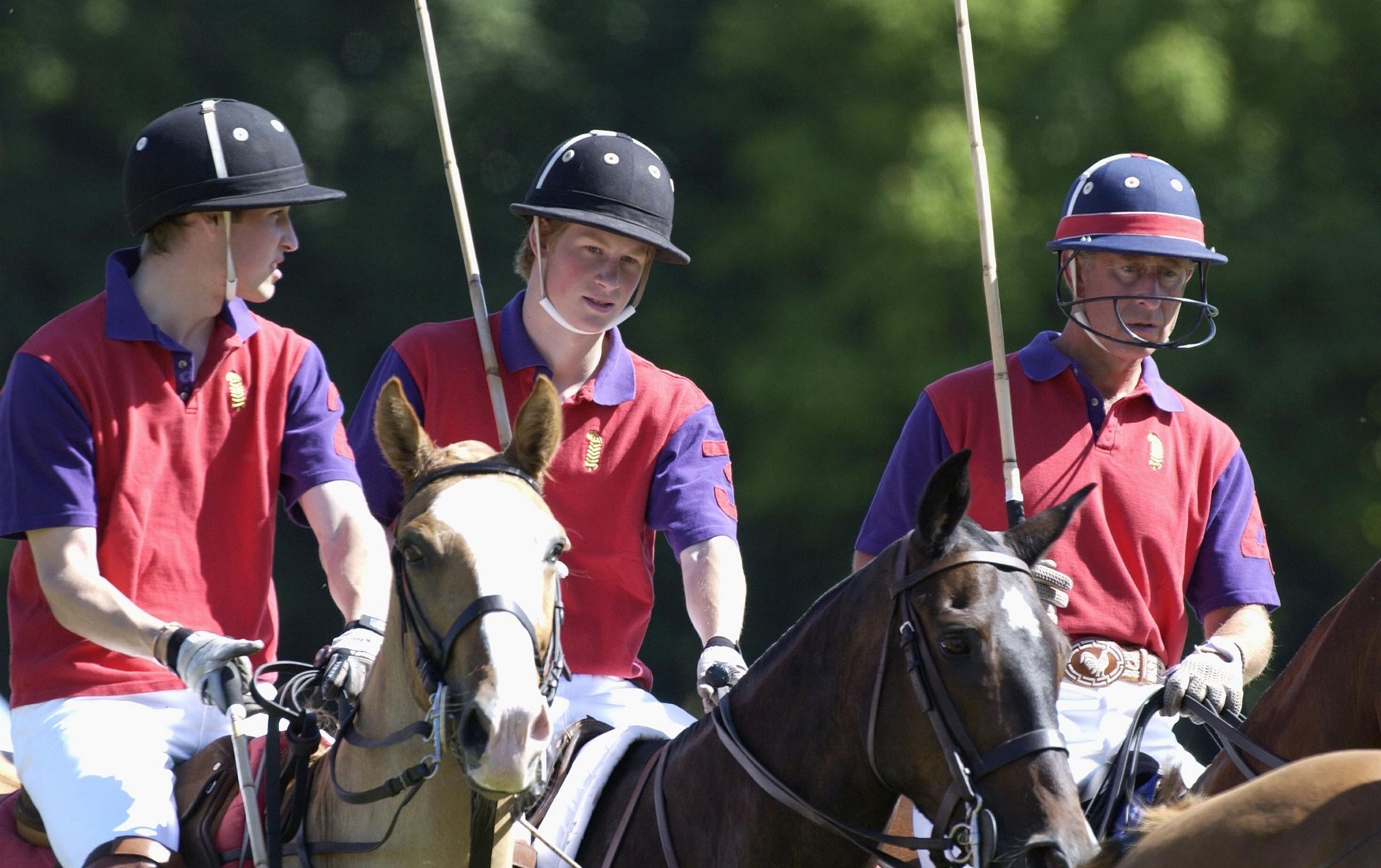 Král Karel III. a princové William a Harry, 18. 7. 2003 - Královská rodina - sport (18/20)