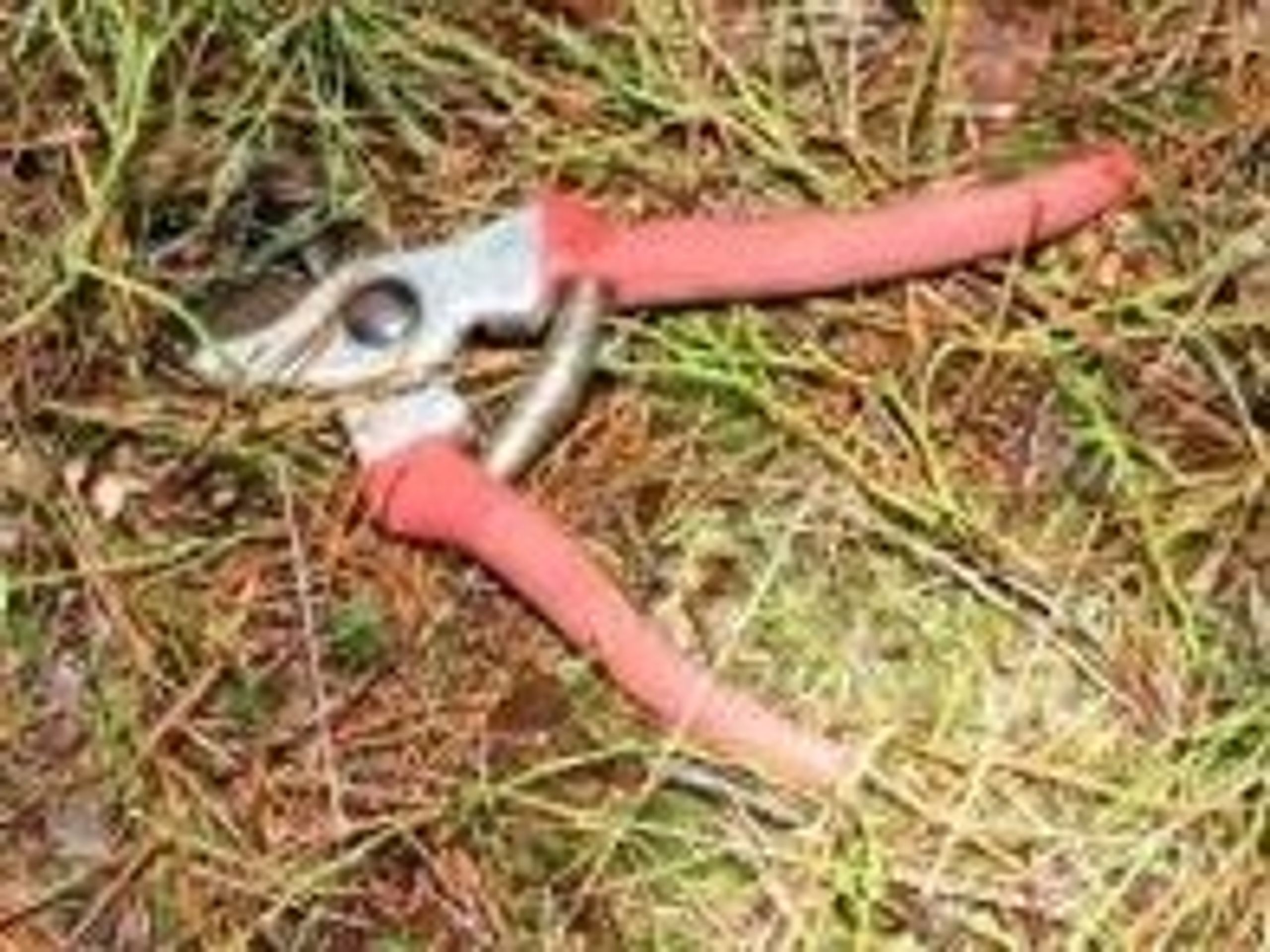 Nalezené tělo ženy mezi obcemi Klokočná a Svojetice na území Prahy-východ - 2 - GALERIE: Nalezené tělo ženy mezi obcemi Klokočná a Svojetice na území Prahy-východ (5/10)