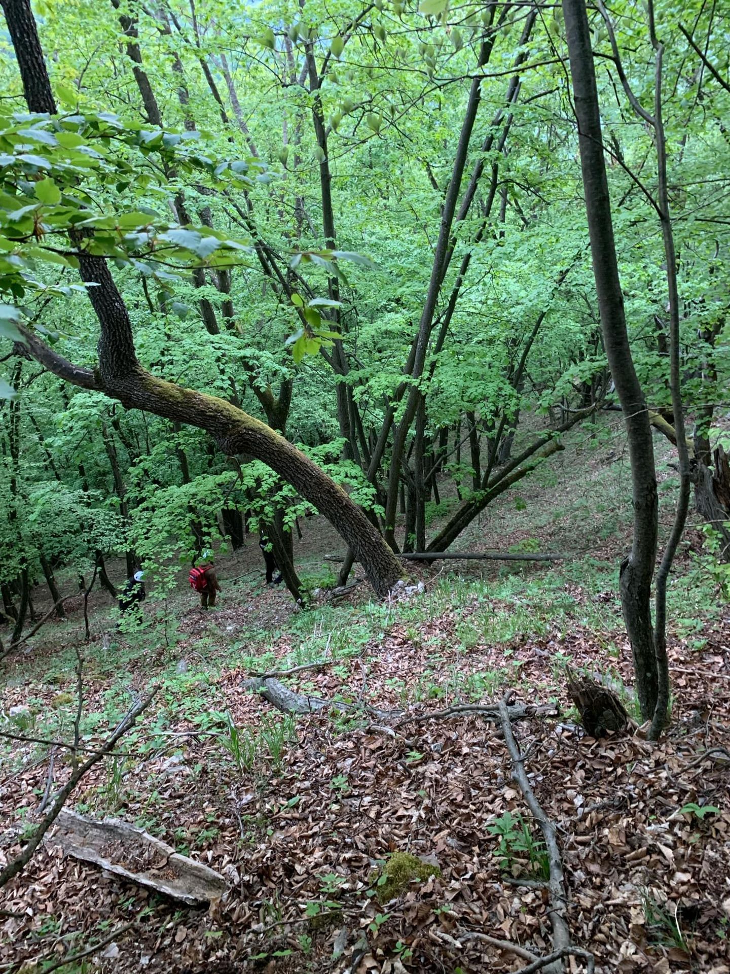 Pátrání po Lucii (19) - Pátrání po Lucii (9/21)