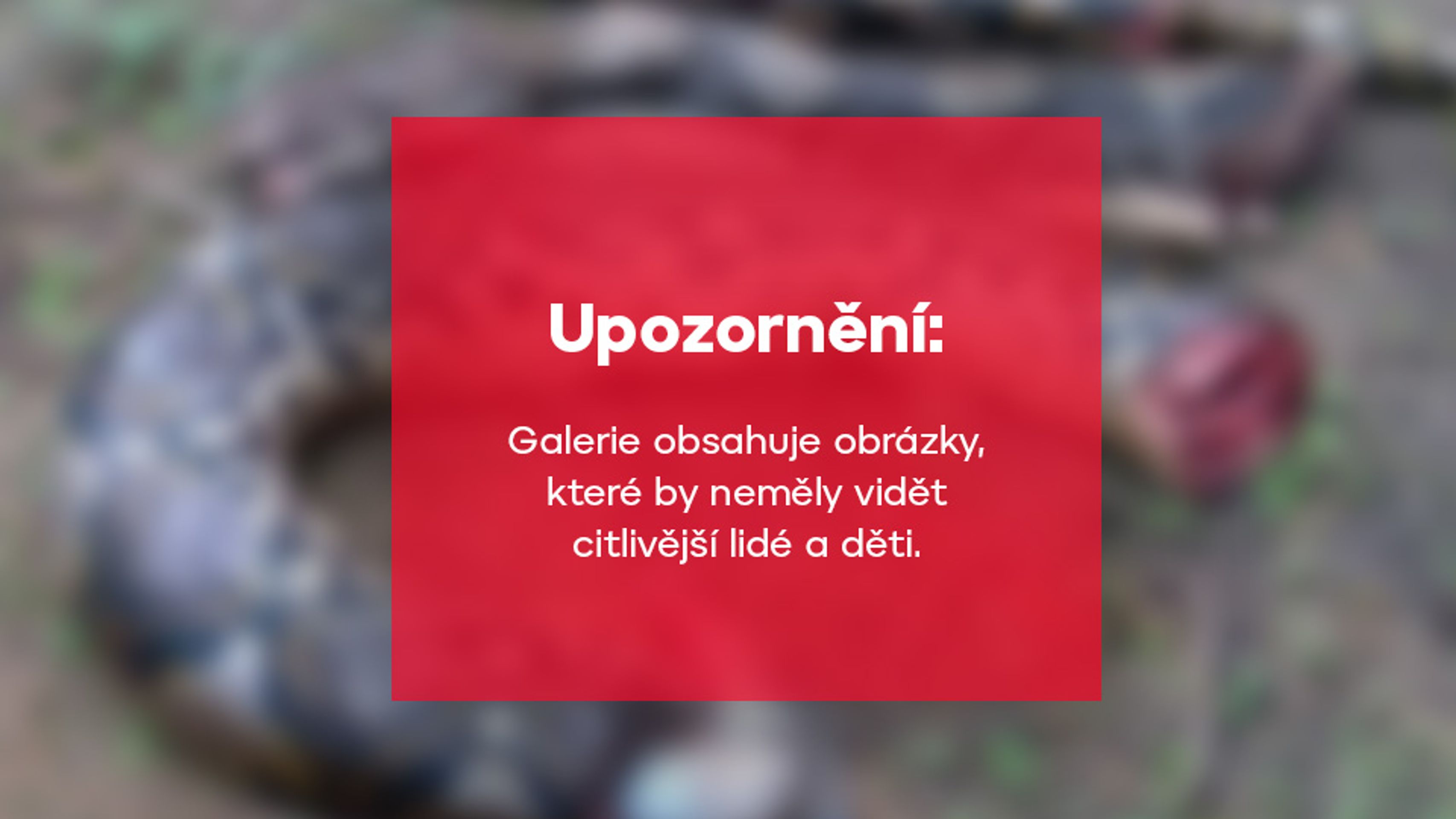 Upozornění - Následky útoku medvěda (1/5)