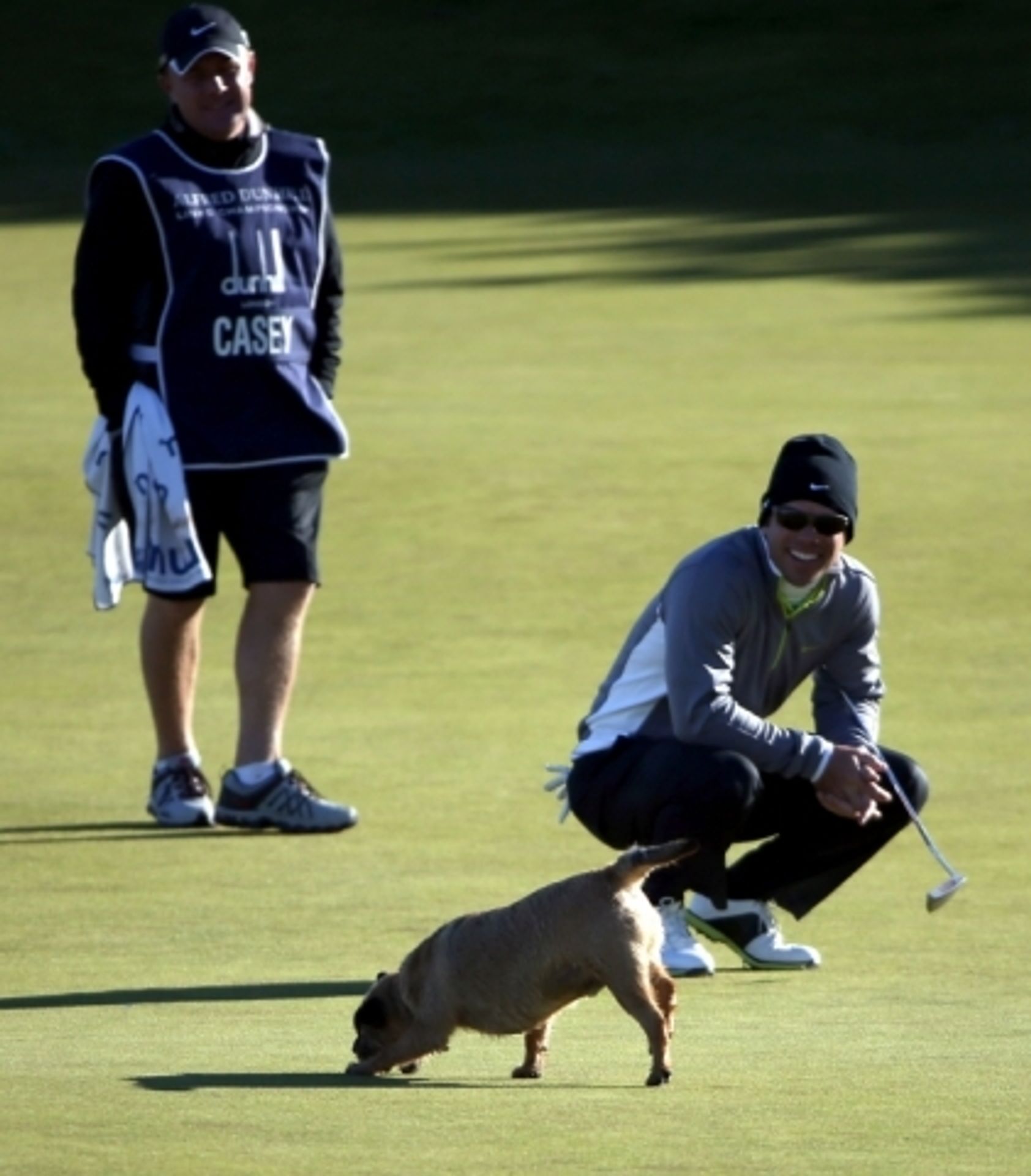 Casey a pes - 5 - GALERIE: pes na golfu (2/9)