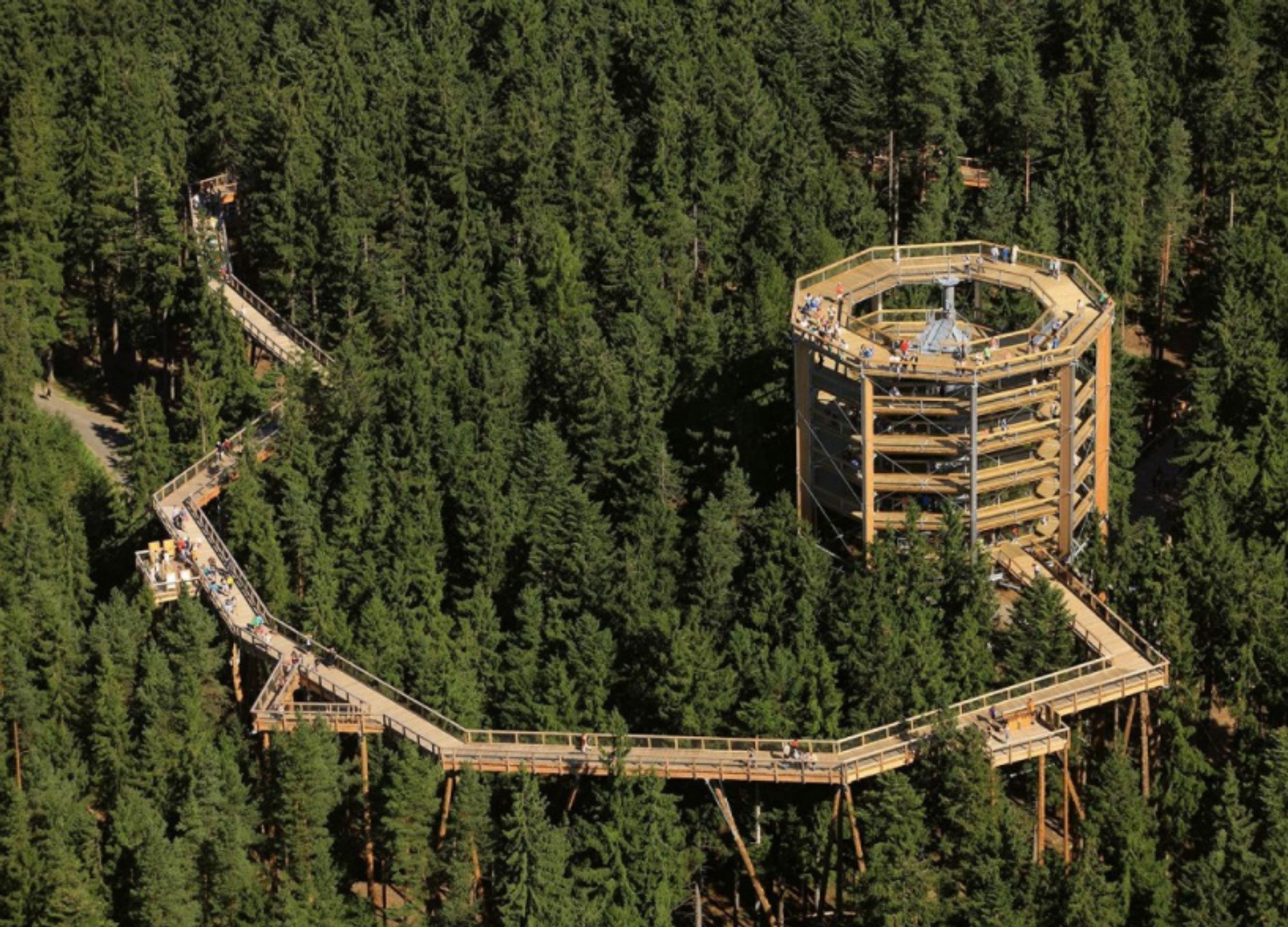 Stezka korunami stromů Lipno - 2 - GALERIE: Stezky korunami stromů (7/11)