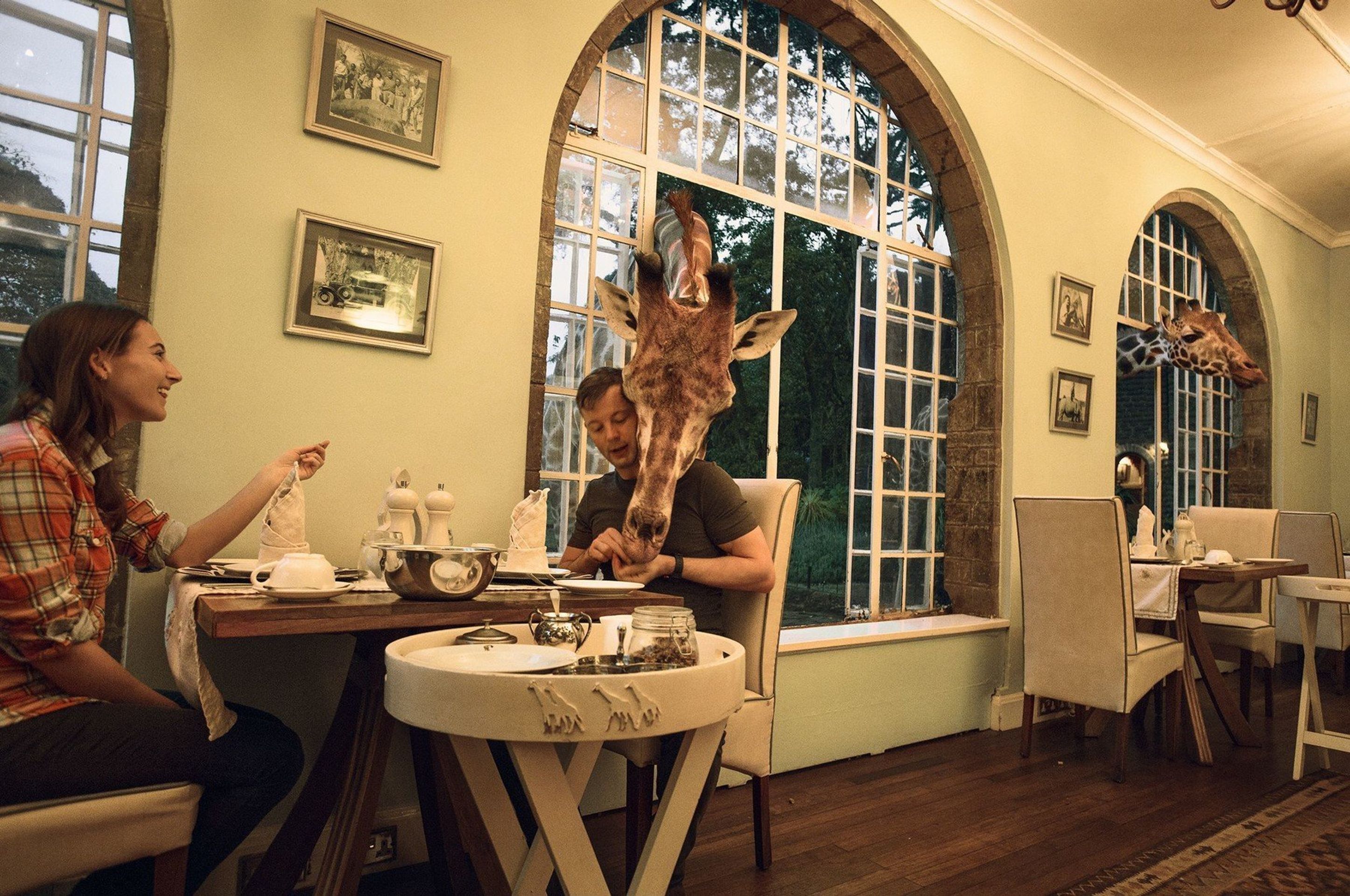 Hotel Giraffe Manor - 2 - GALERIE: Hotel Giraffe Manor (3/4)