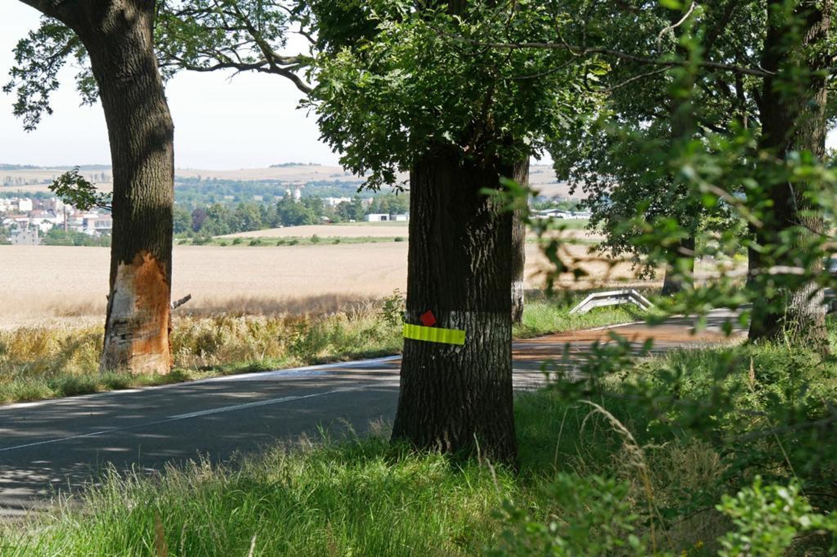 Tragická nehoda na Bruntálsku, zemřel 23letý mladík - 5 - GALERIE: Na Bruntálsku vyhasl mladý život (3/6)