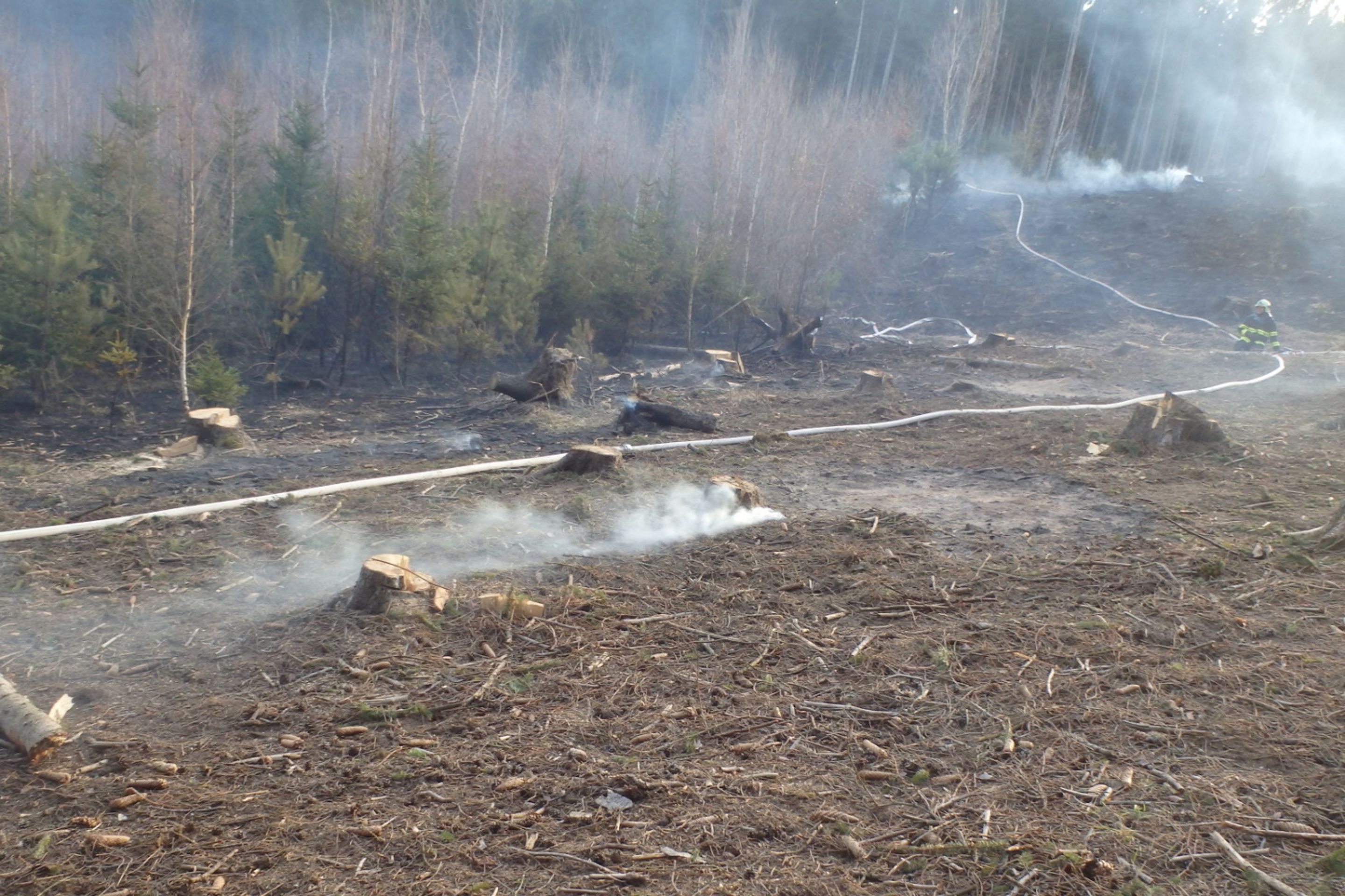 Lesní požár na Benešovsku - 3 - GALERIE: Lesní požár na Benešovsku (3/14)