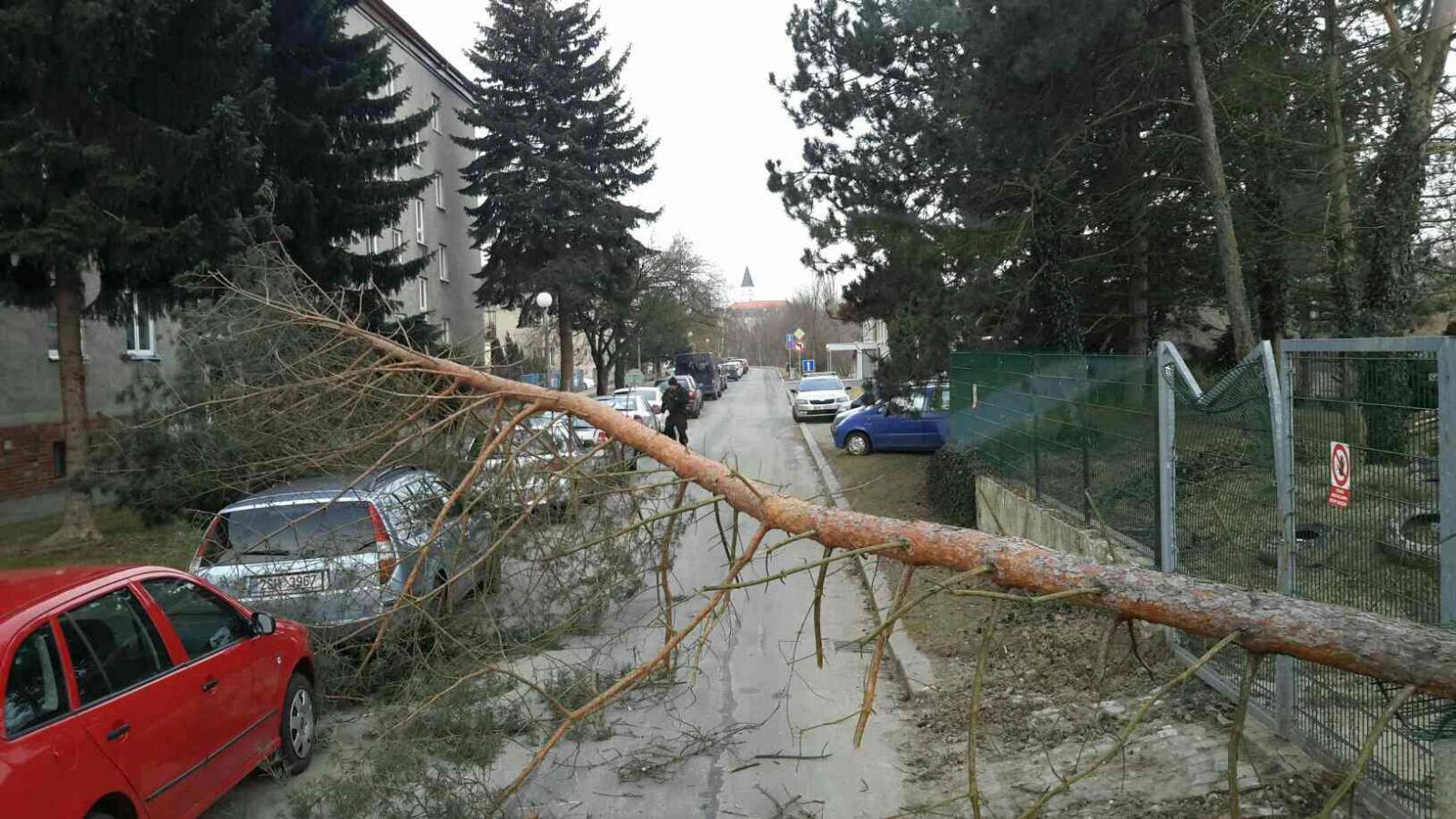 Popadané stromy a uvolněné střešní krytiny v Olomouckém kraji - Přerov U Rybníka - GALERIE: Popadané stromy a uvolněné střešní krytiny v Olomouckém kraji (5/15)