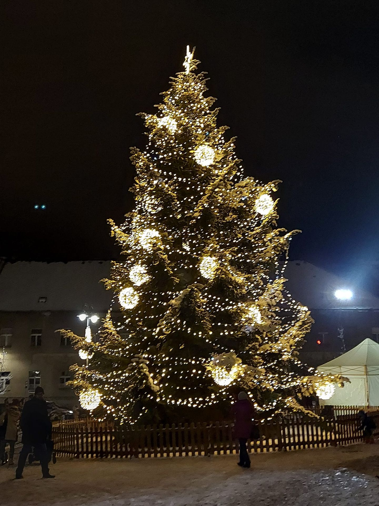 Vánoční strom v Příbrami - Vánoční stromy (14/14)