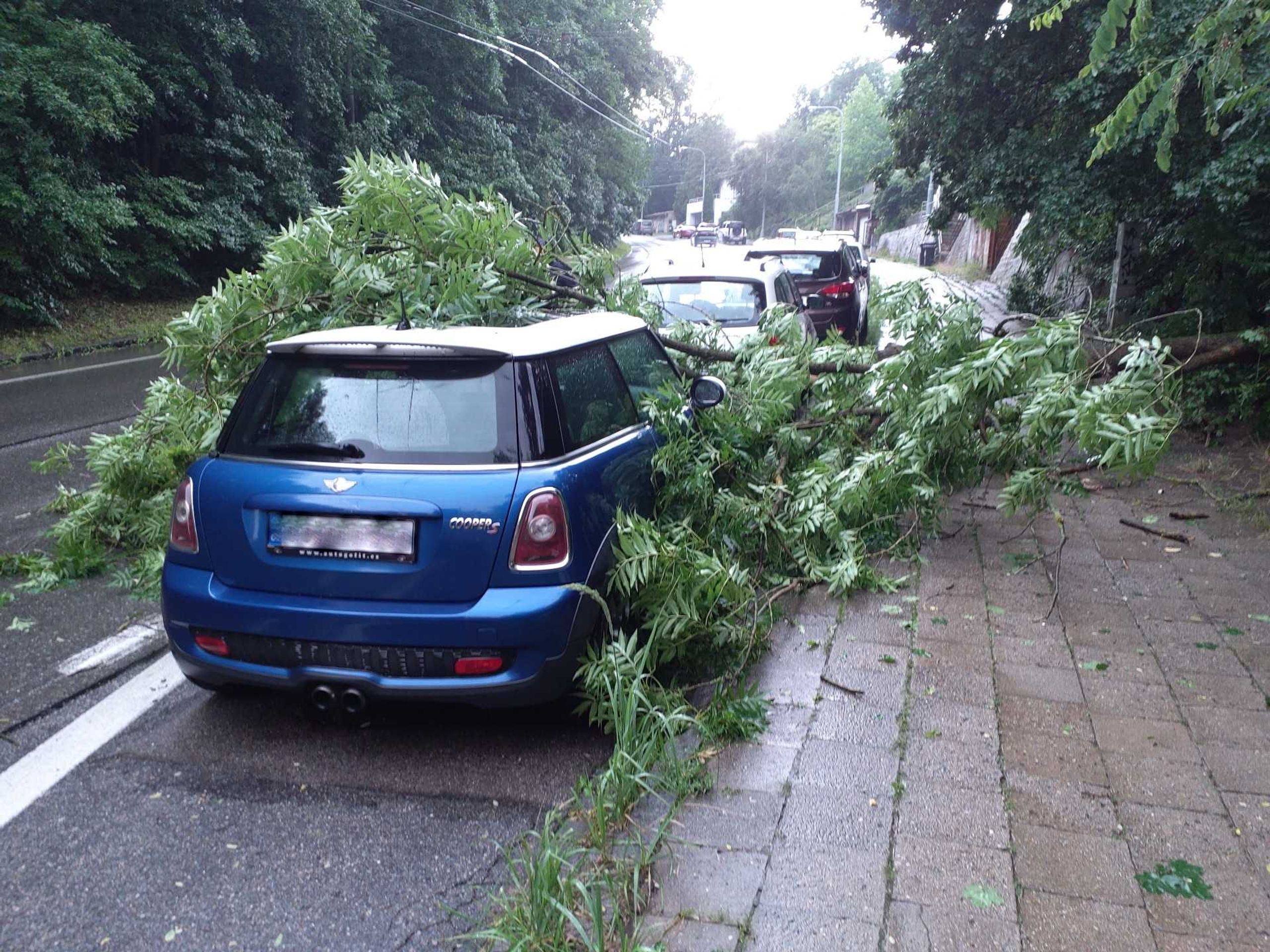 Jihomoravští hasiči odstraňovali následky čtvrtečních bouřek - Následky čtvrtečních bouřek (2/5)
