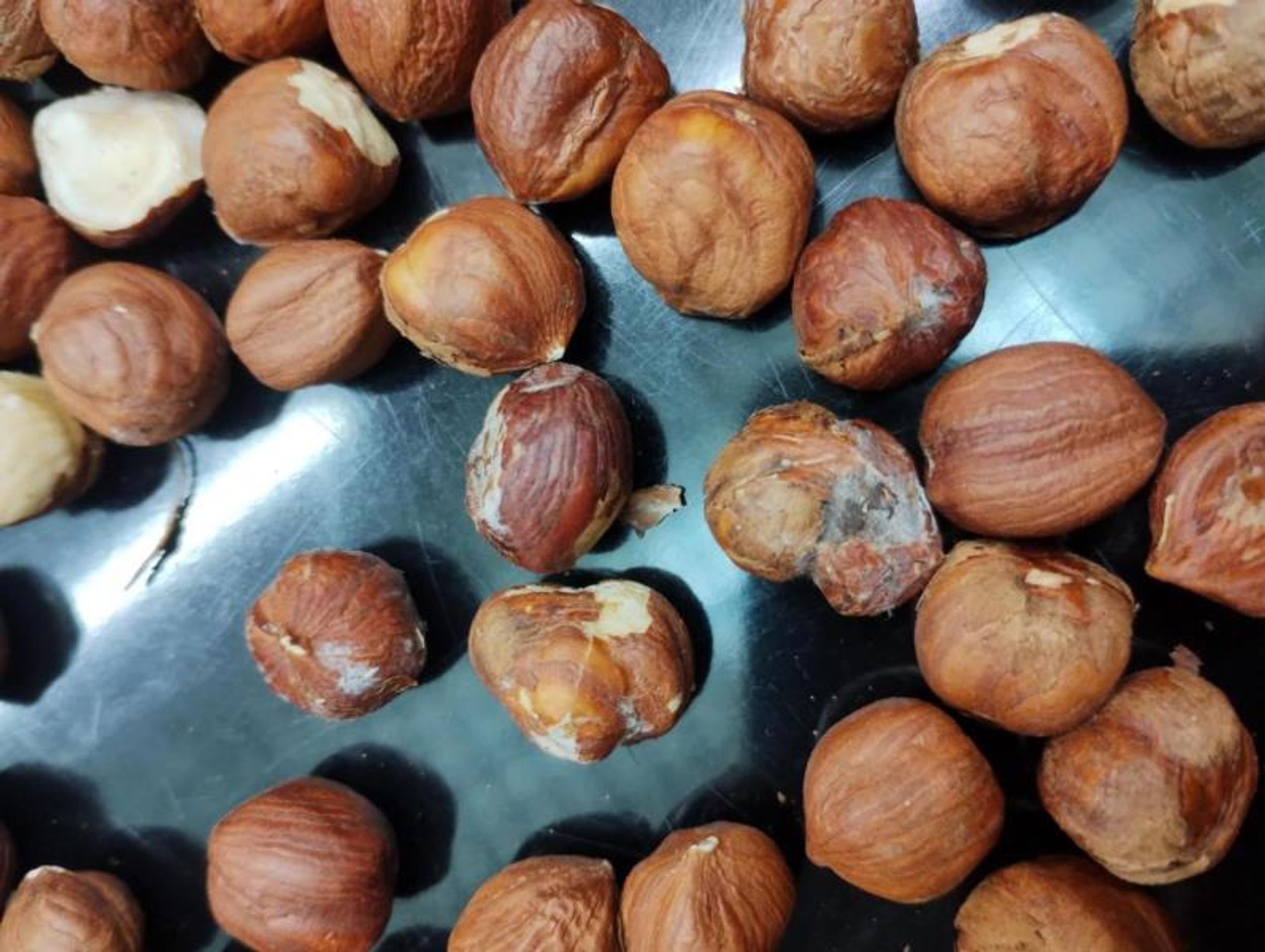 naturalia LÍSKOVÁ JÁDRA 200g - Závadný med, sušenky a oříšky (6/14)