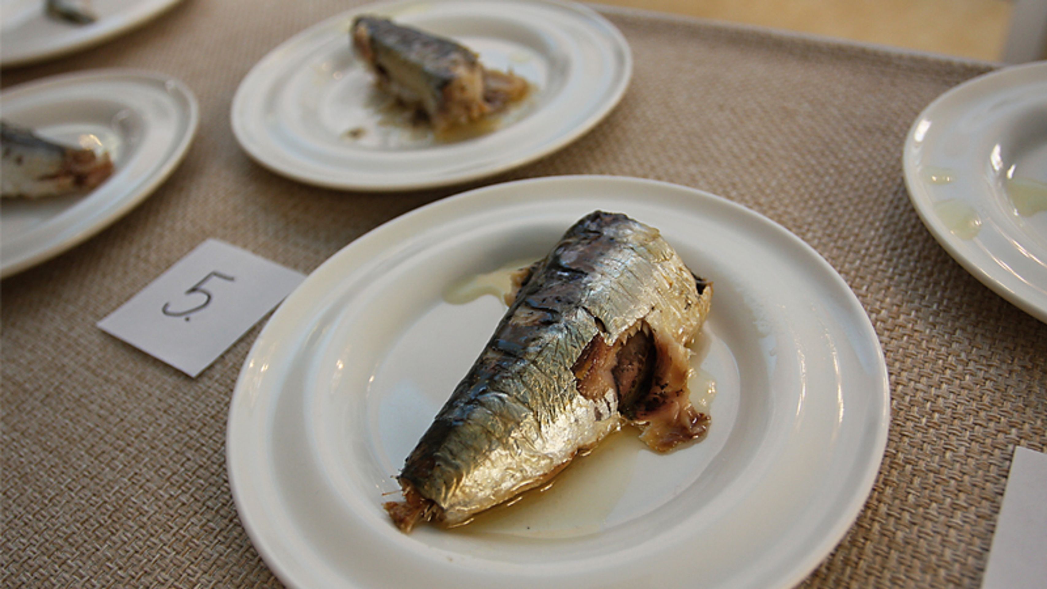 Test - sardinky - Test sardinek (13/13)