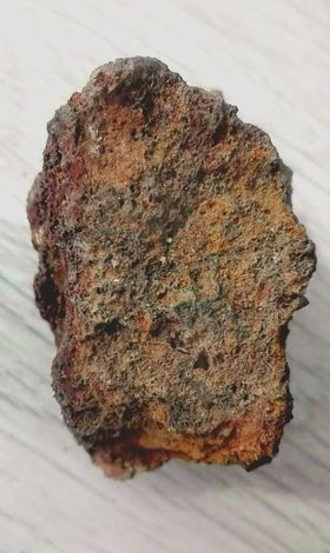 Meteorit z Blatné (2) - Meteorit z Blatné (6/6)