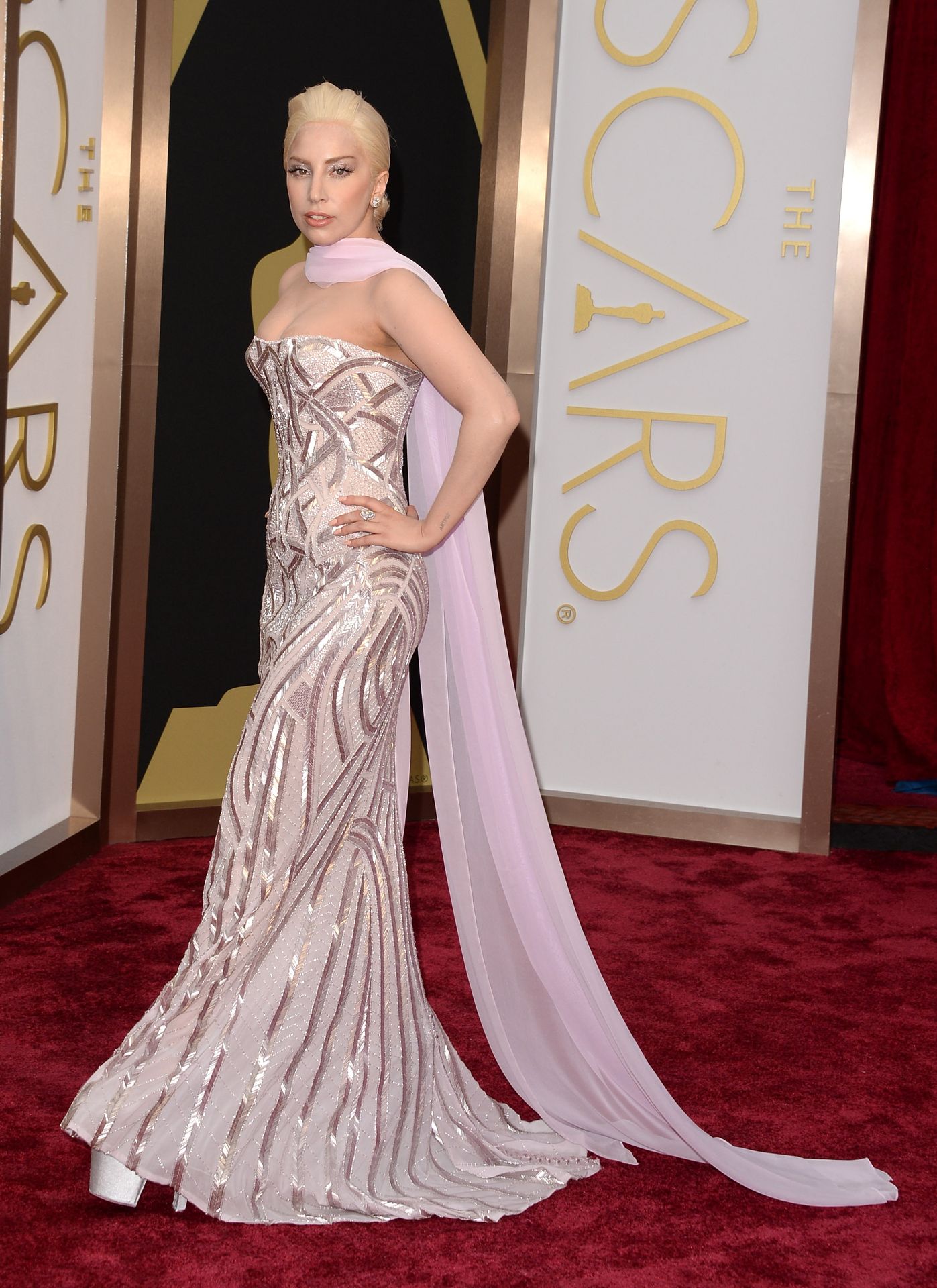 Předávání Oscarů 2014 - GALERIE: Luxusní róby na udílení Oscarů 2014 (9/16)