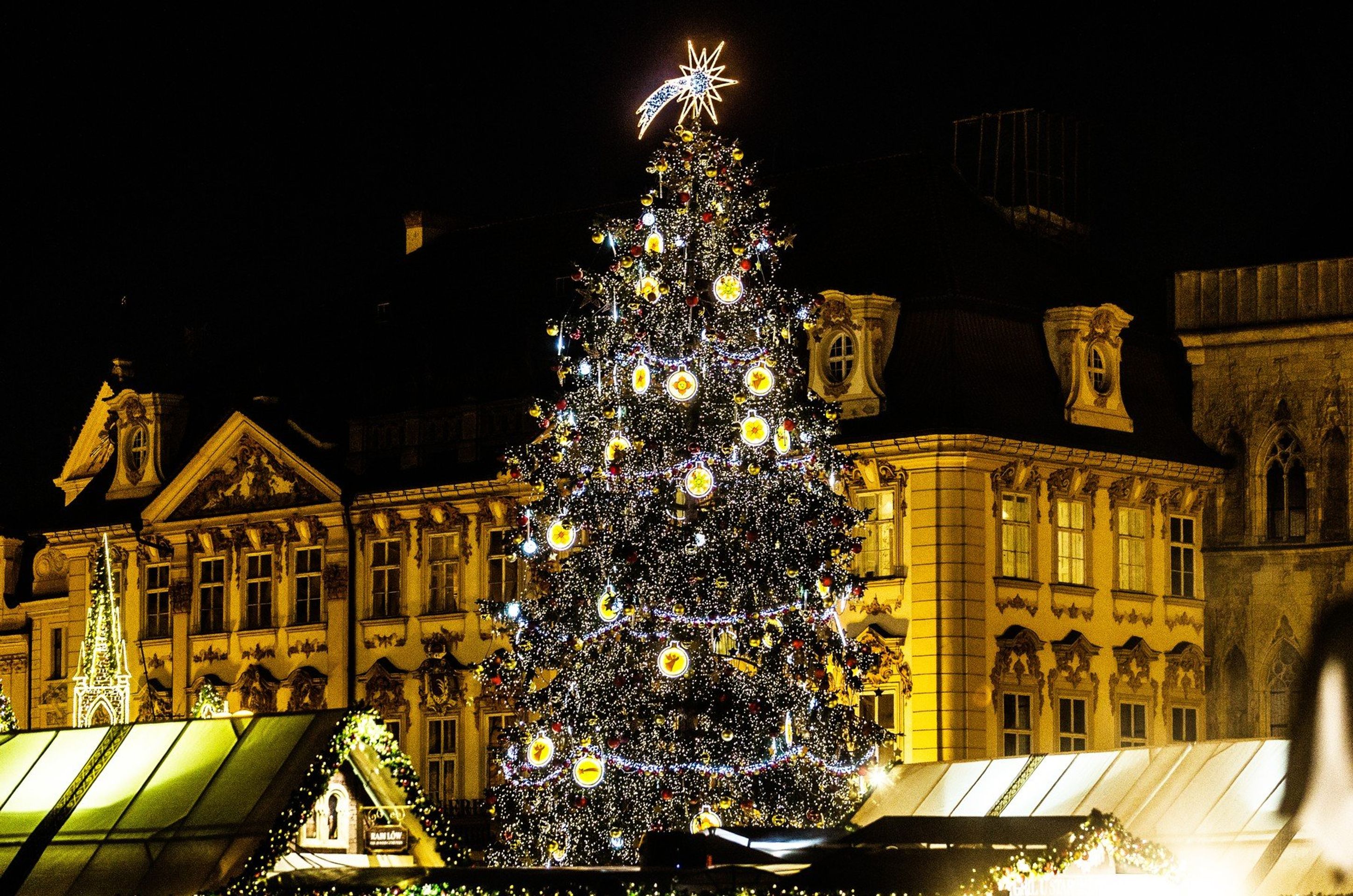 Vánoční strom na Staroměstkém náměstí - 2017 - GALERIE: Vánoční stromy na Staroměstském náměstí (11/11)