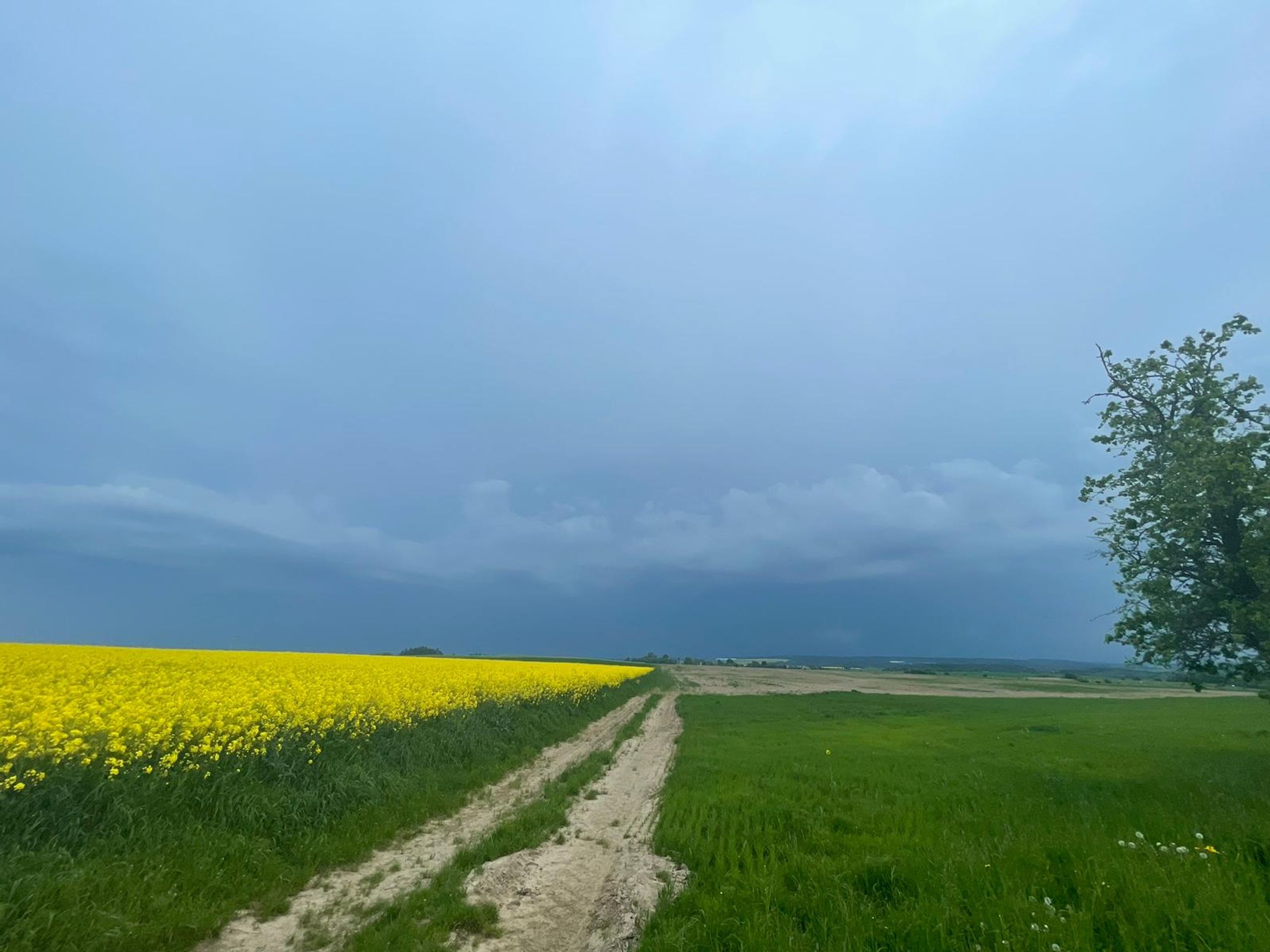 Bouře - Českem se prohnaly silné bouřky (31/31)