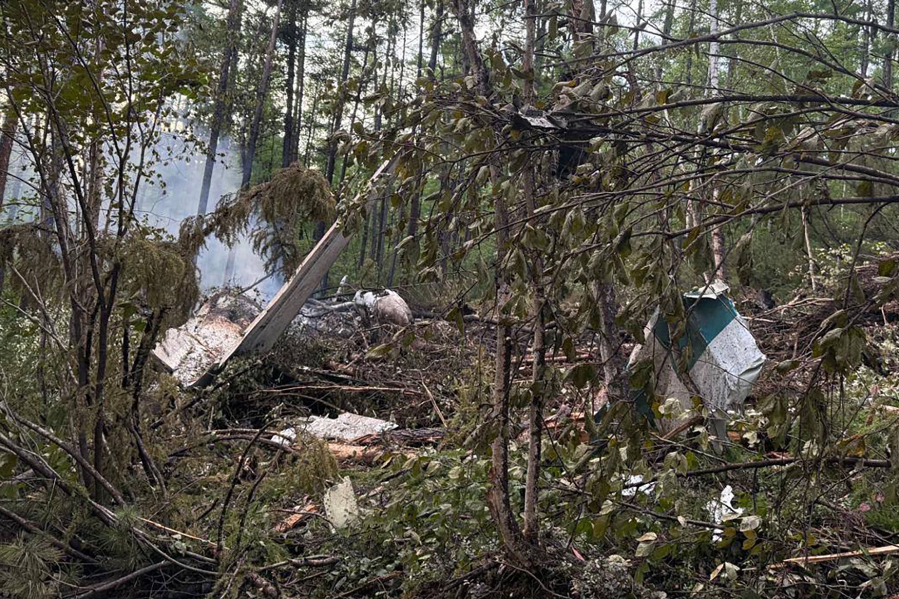 Pád letadla An-24 v Rusku - Pád letadla An-24 v Rusku (4/4)