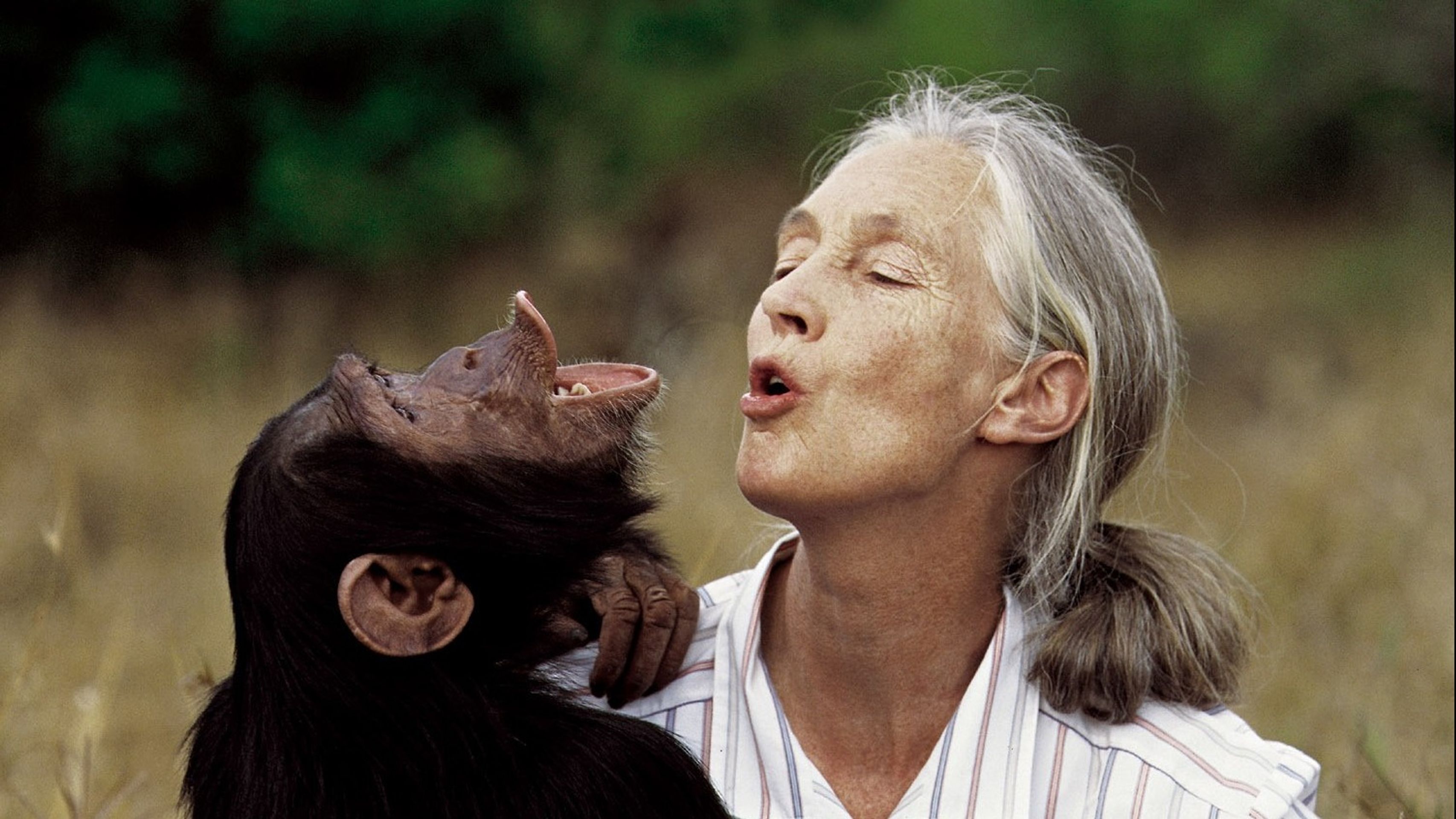 Jane Goodallová - Jane Goodallová (5/5)