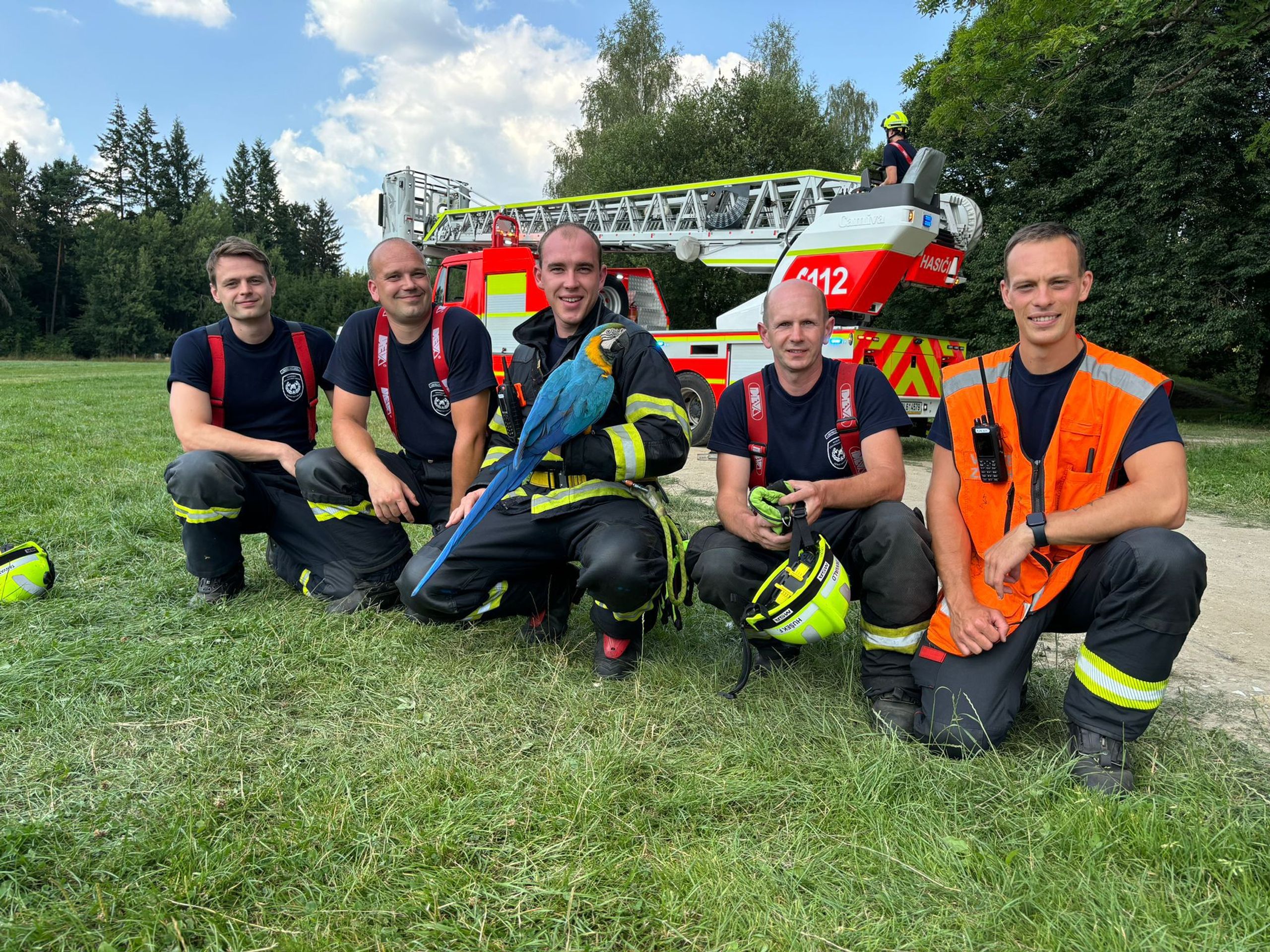 Záchrana papouška ara ararauna (1) - Záchrana papouška ara ararauna (7/7)