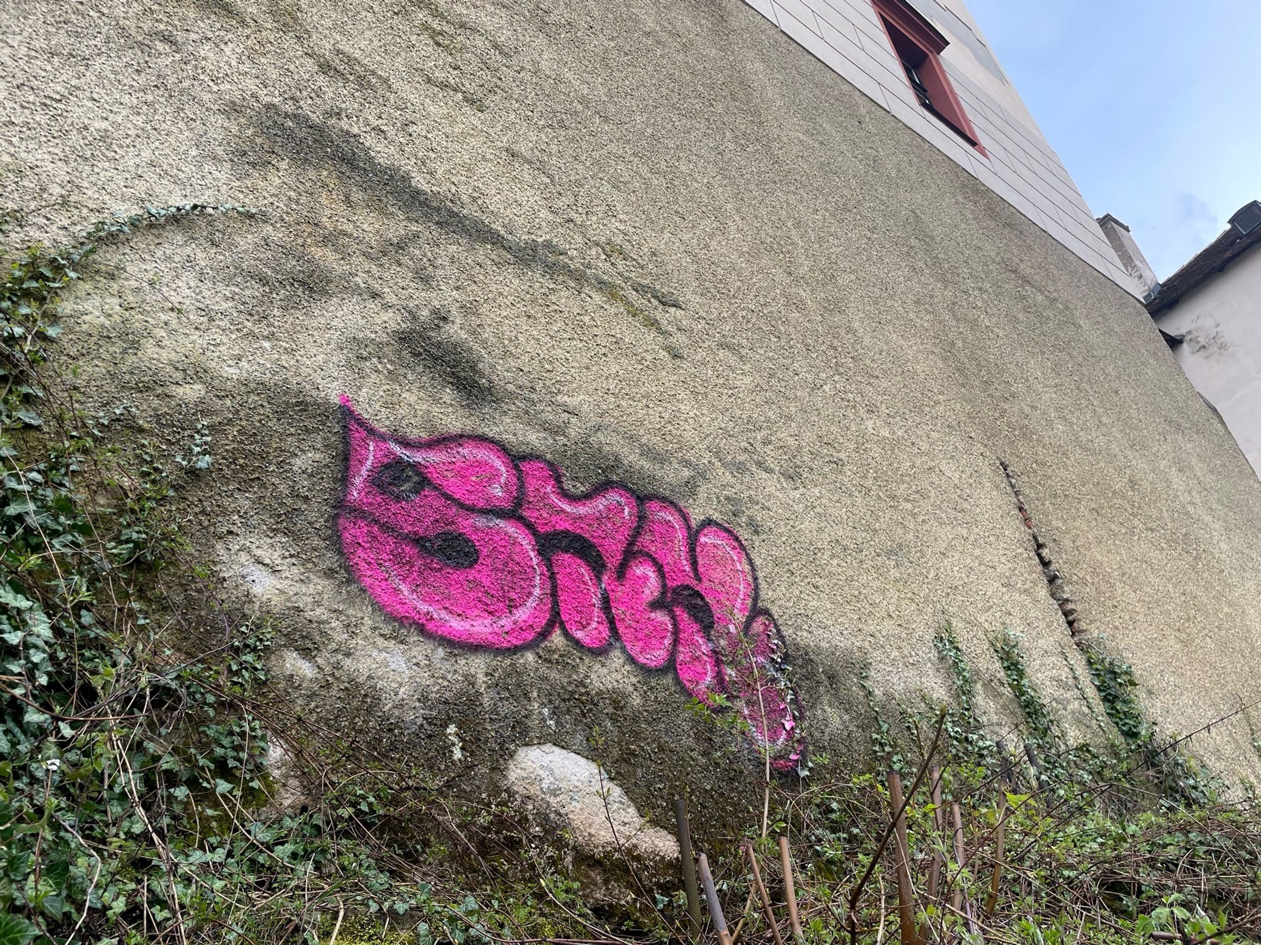 Graffiti - Zámek Opočno (3) - Graffiti (5/7)