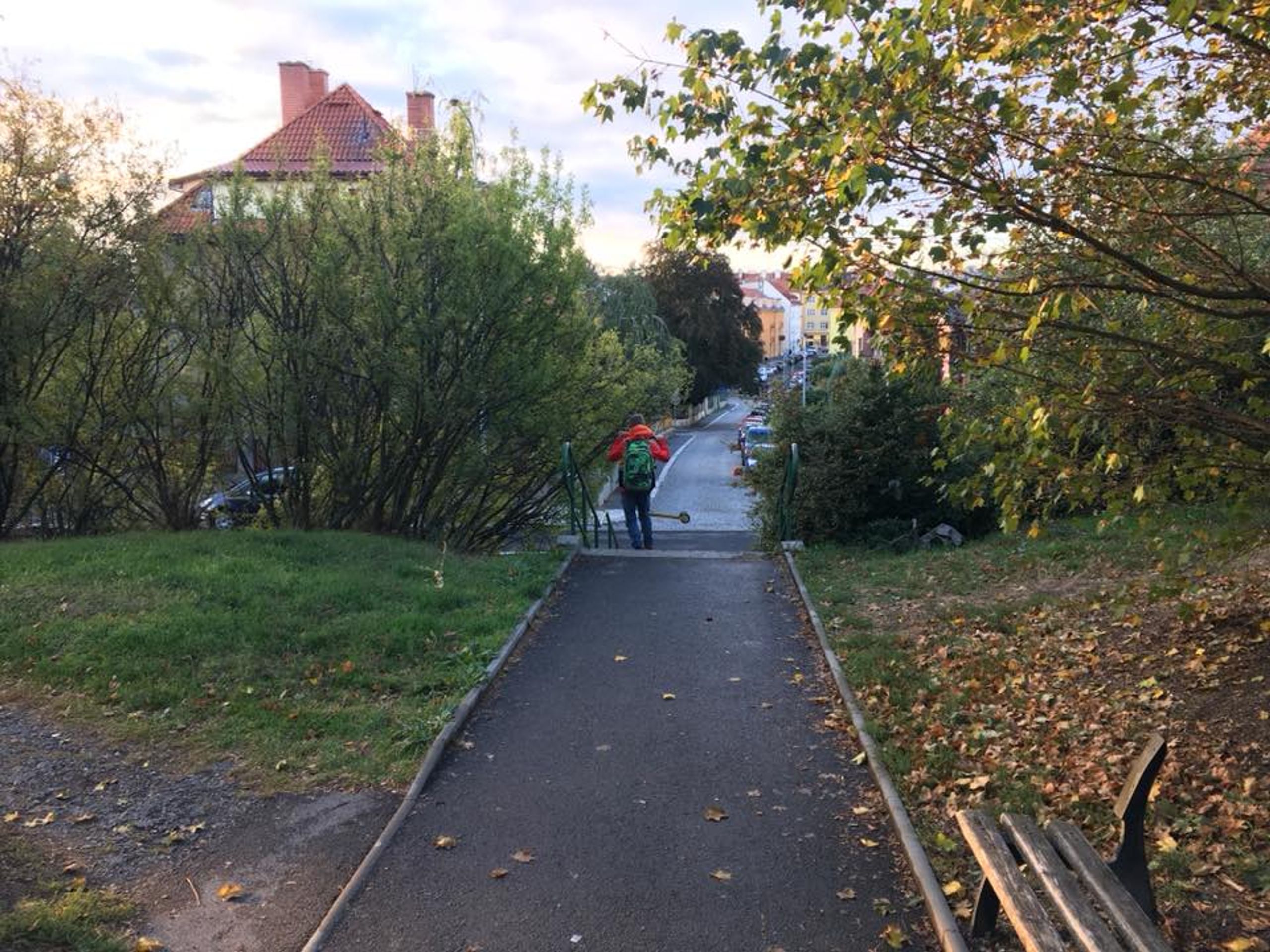 Lidé v pražských Strašnicích se bojí chodit venčit své psy - GALERIE: Lidé v pražských Strašnicích se bojí venčit své psy (4/6)