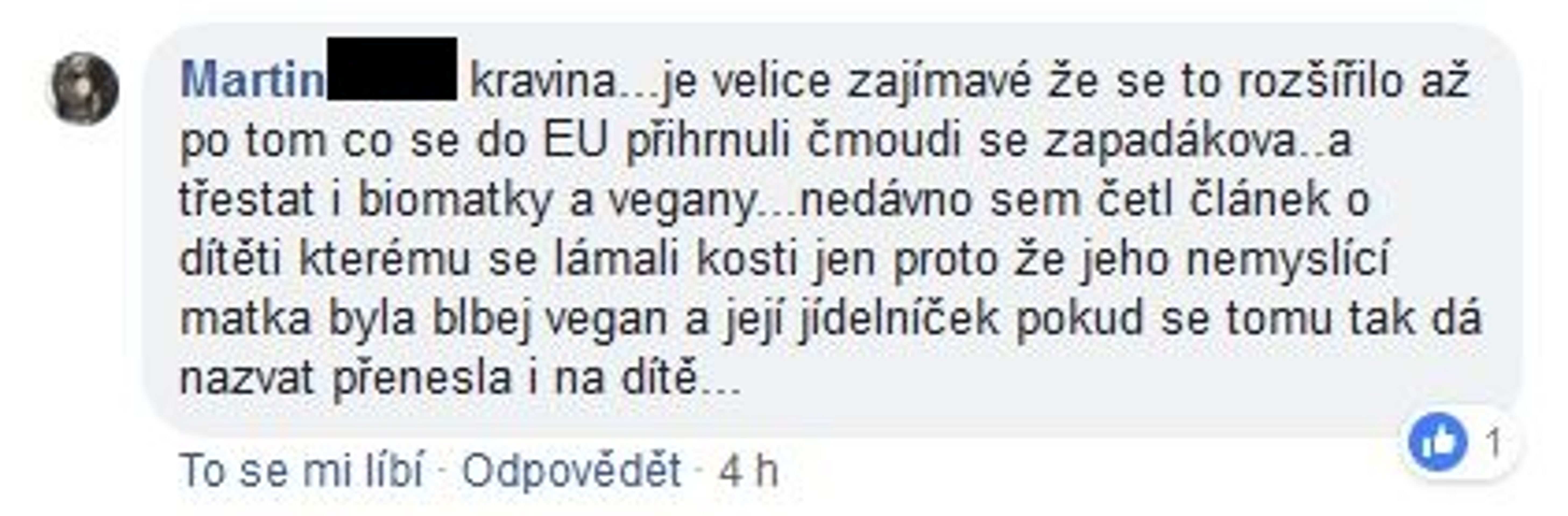 Komentáře lidí na facebooku ke spalničkám - 2 - GALERIE: Komentáře na facebooku TN.cz k očkování proti spalničkám (4/5)