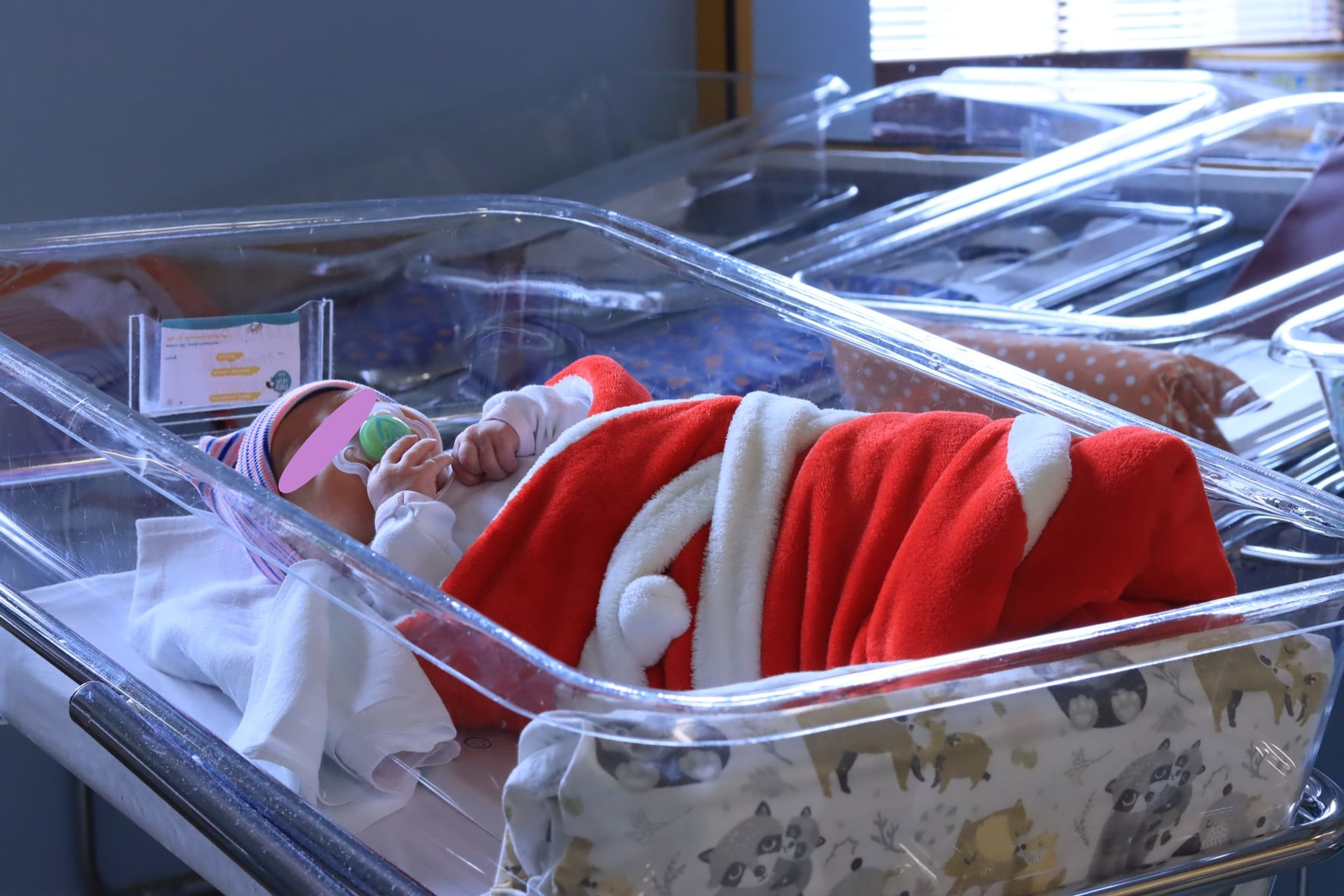 Holčička z libereckého babyboxu už má novou rodinu - Holčička z libereckého babyboxu už má novou rodinu (3/3)