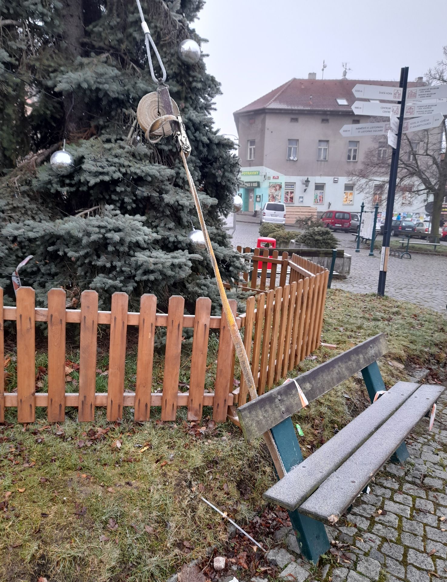 KŘIVÝ VÁNOČNÍ STROM - 1 - GALERIE: KŘIVÝ VÁNOČNÍ STROM (1/4)