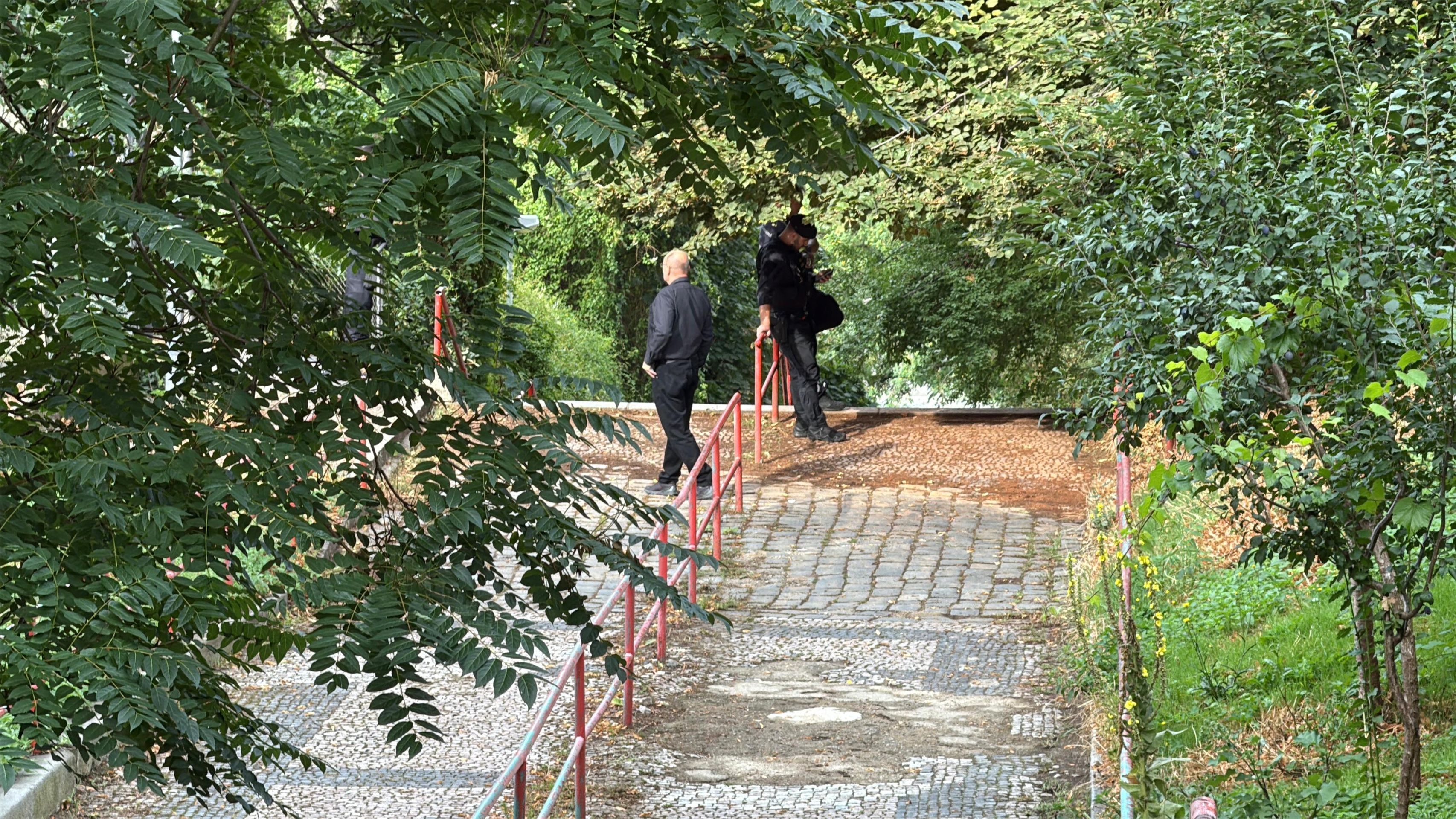 Aktu.cz - Aktu.cz (4/6)