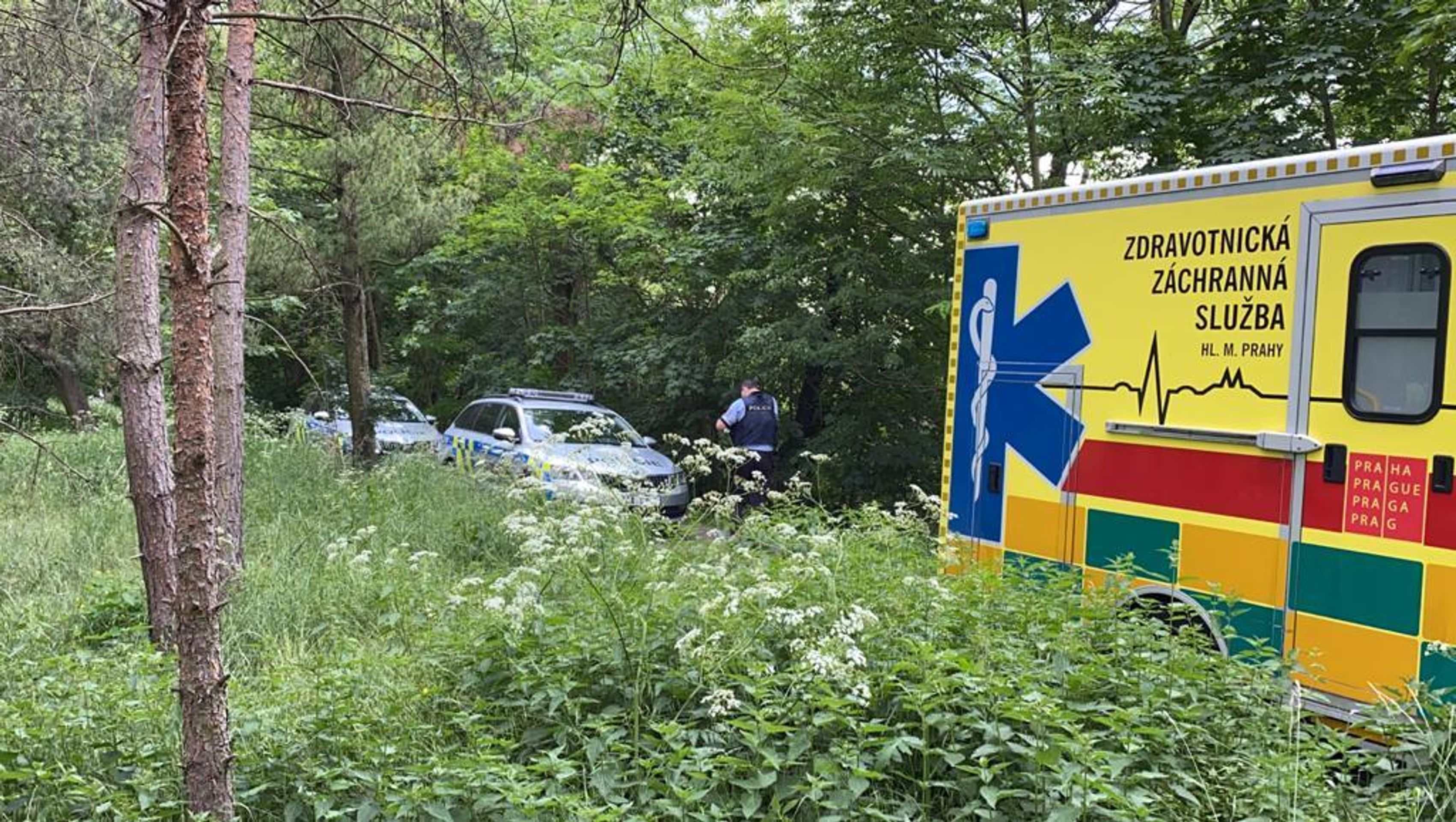 Postřelená žena v Praze - 6 - GALERIE: Postřelená žena v Praze (6/7)
